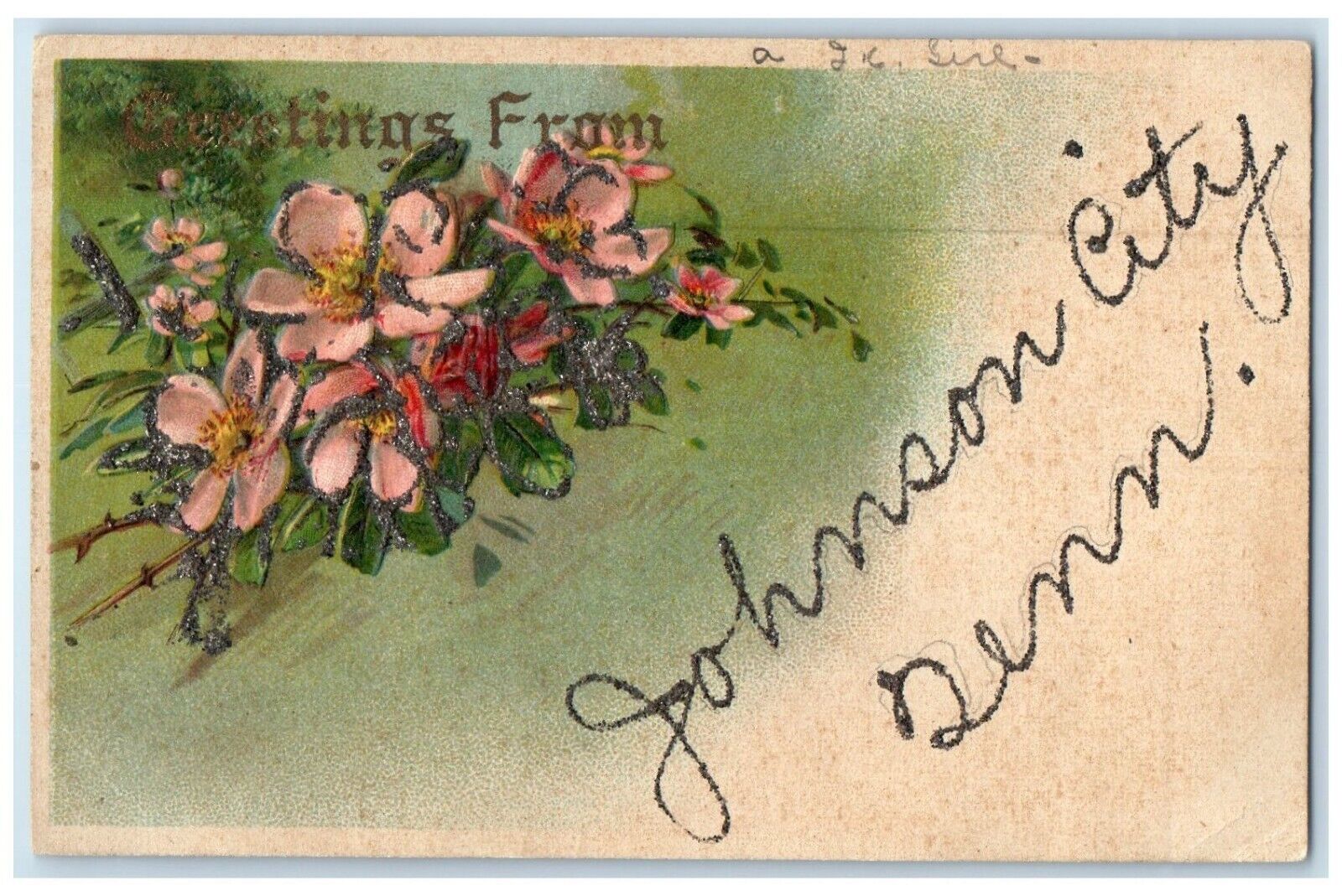 c1910\'s Greetings From Johnson City Indiana IN Flowers Embossed Glitter Postcard