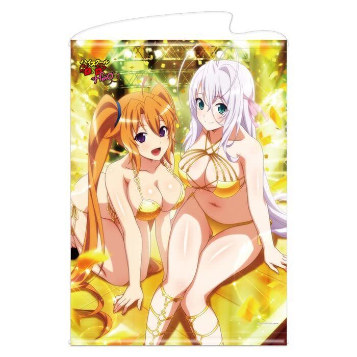 High School DxD Hero B2 Tapestry Wall Scroll Poster Rossweisse & Irina Anime