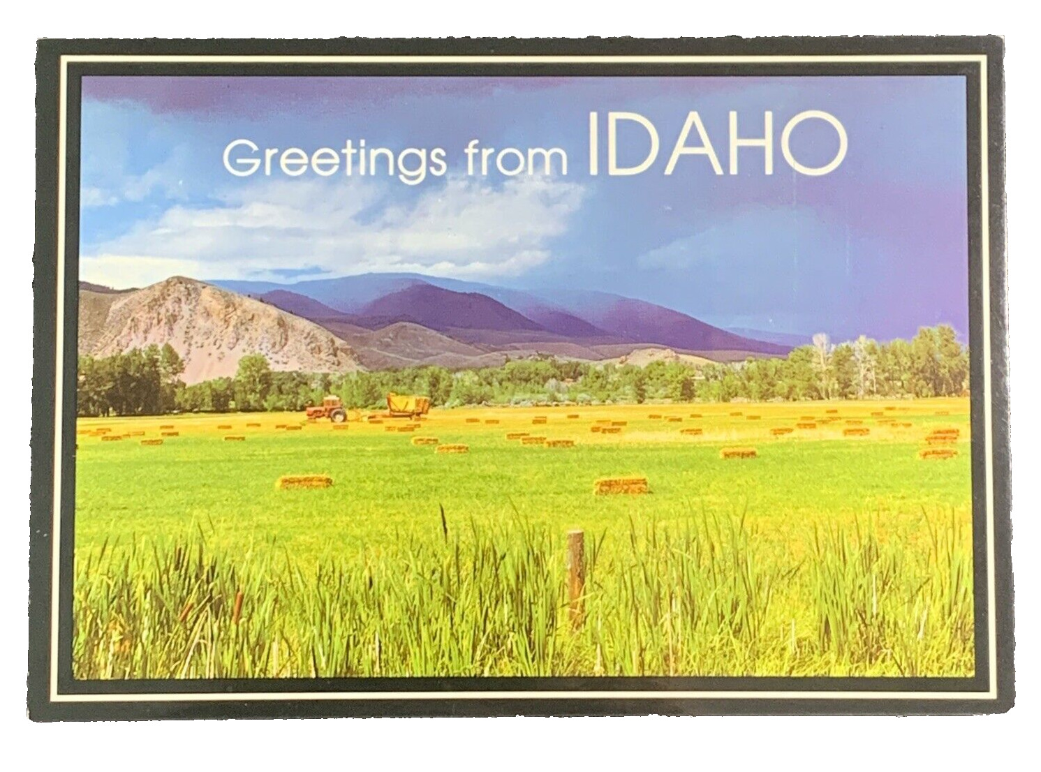 Greetings From Idaho Harvest on the Farmlands Postcard Unposted