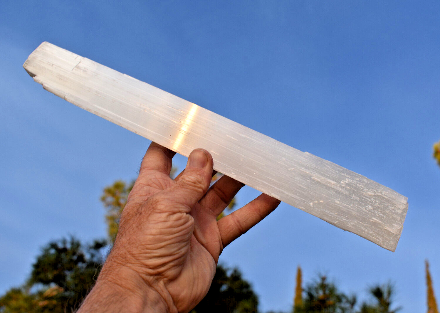 Foot Long SELENITE Sticks Rods * Cool Natural Gypsum Mineral Specimen Mexico