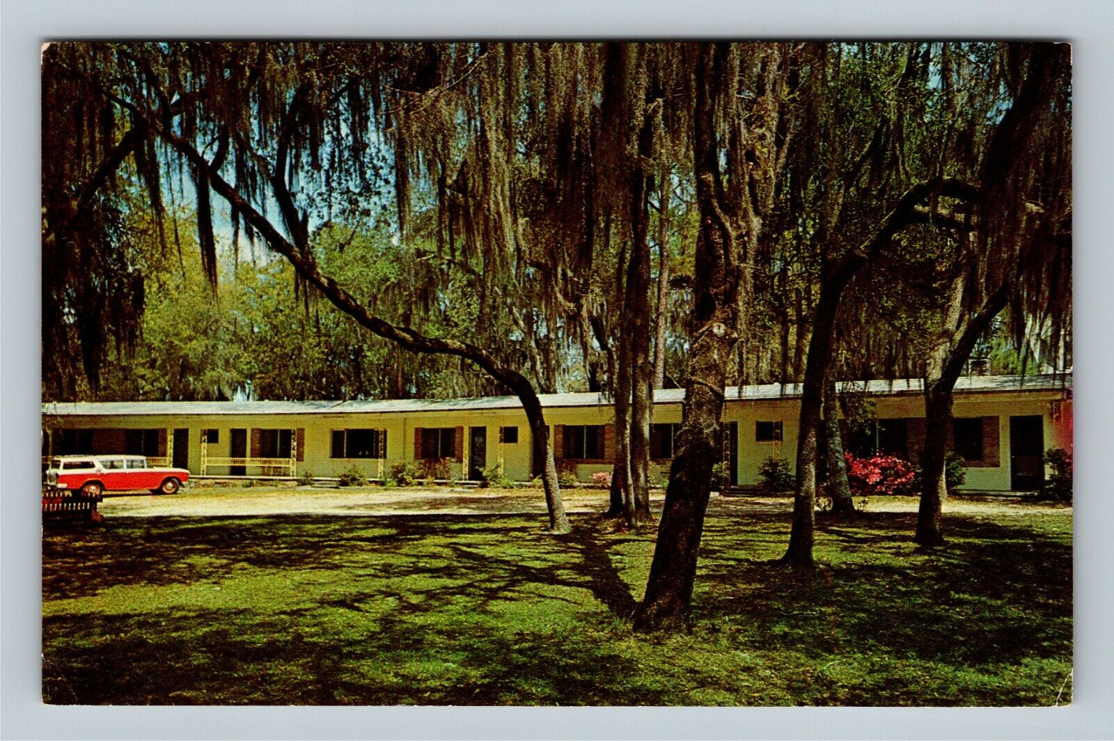 Old Town FL, Suwannee Gables Motel, Spanish Moss, Florida Vintage Postcard