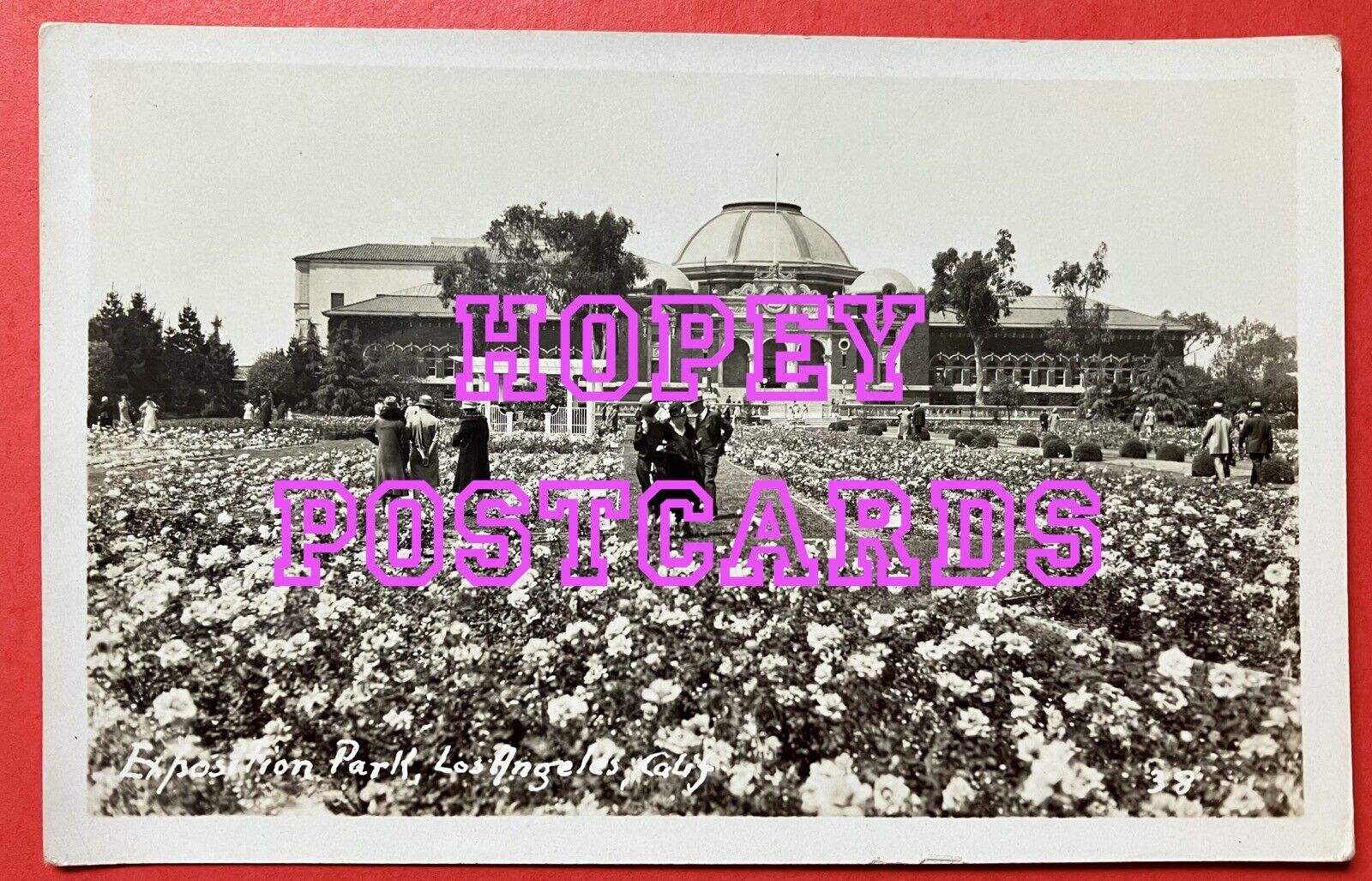 EXPOSITION PARK ROSE GARDEN, LOS ANGELES, CA ~ REAL PHOTO postcard ~192Os