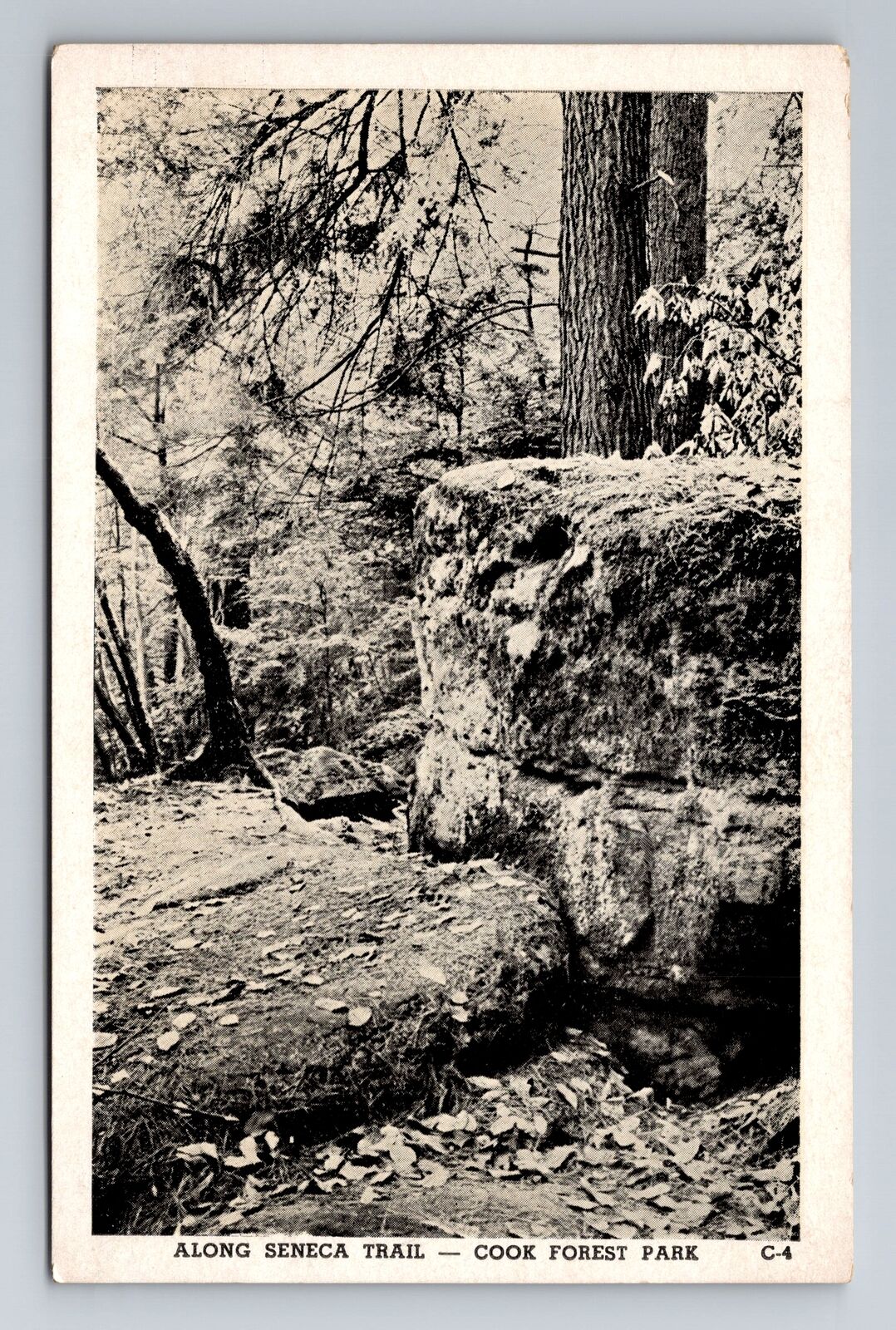Cook Forest Park PA-Pennsylvania, Scene Along Seneca Trail, Vintage Postcard