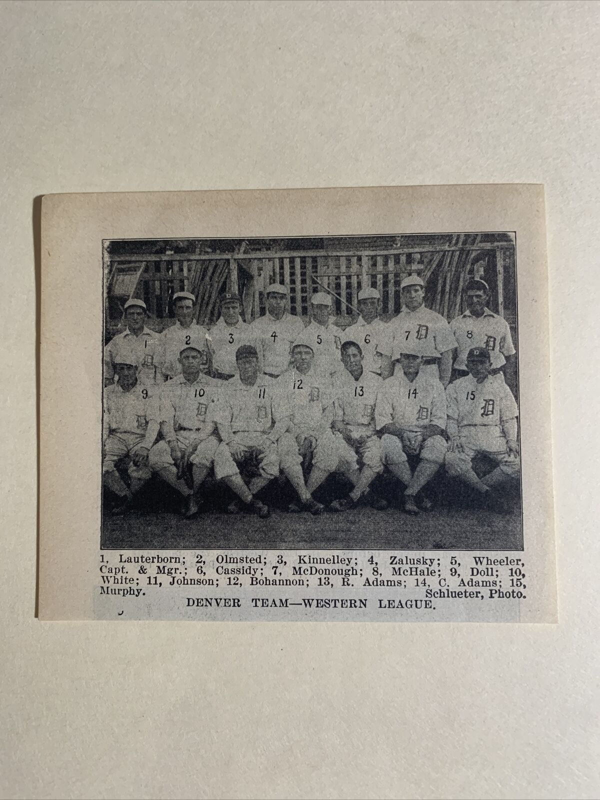 Denver Grizzlies Western League Babe Adams Lauterborn 1907 Baseball Team Pic #2