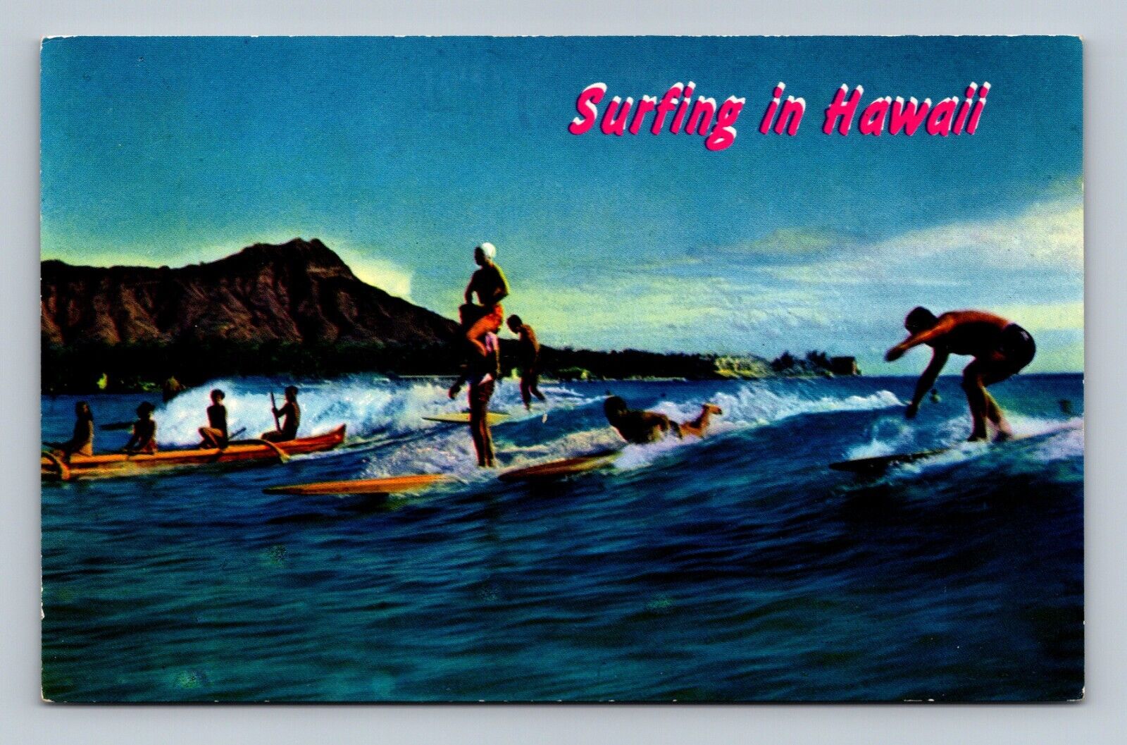 Surfing in Hawaii Sport of Kings Postcard