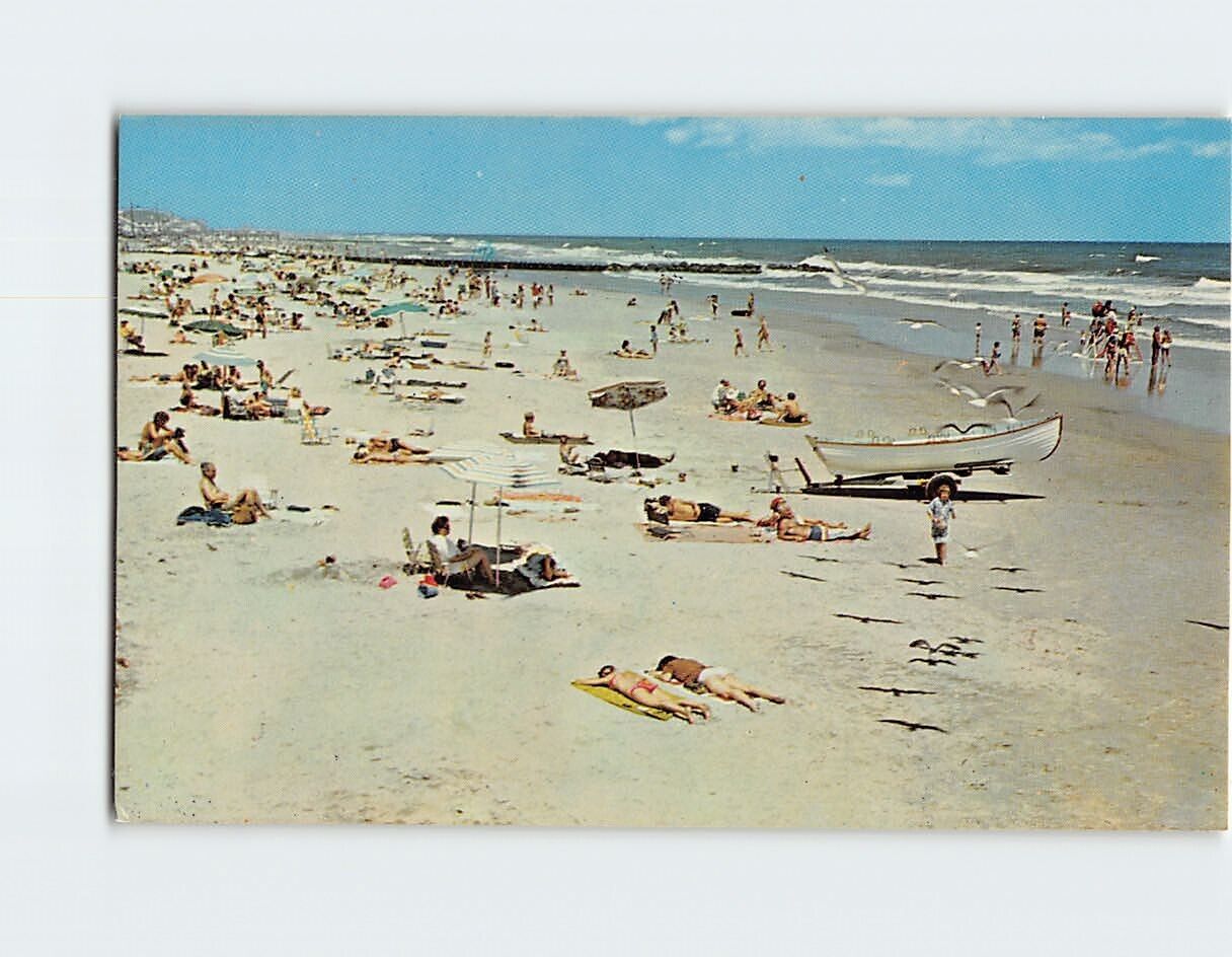 Postcard People Beach Coast Scenery