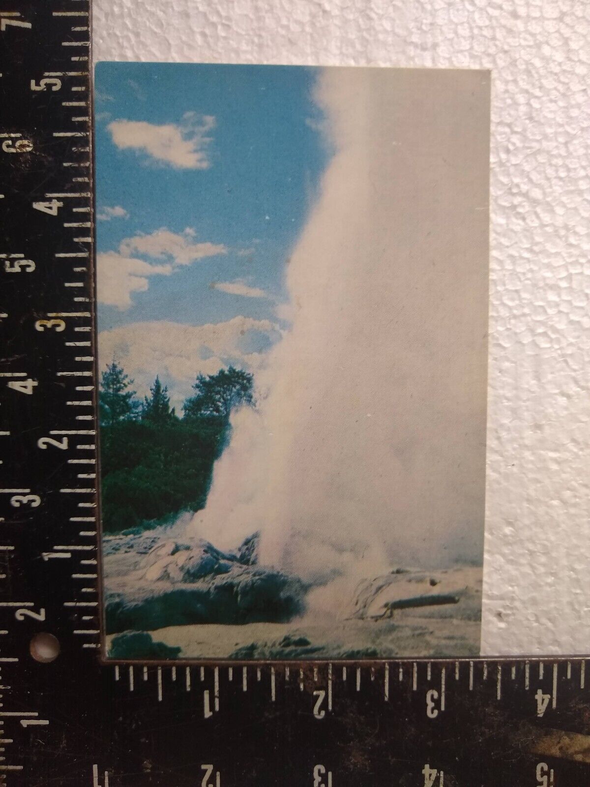 Postcard - Pohutu geyser leaps high - Rotorua, New Zealand