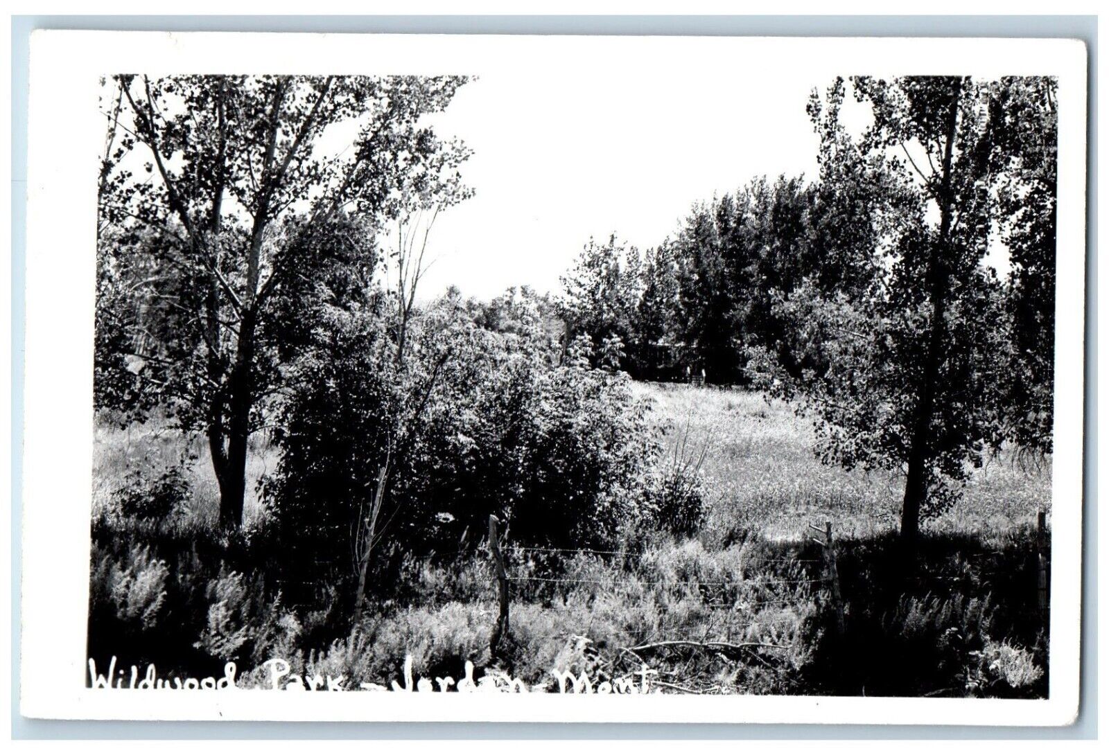 Jordan Montana MT Postcard RPPC Photo Wildwood Park Scene Field c1930's Vintage