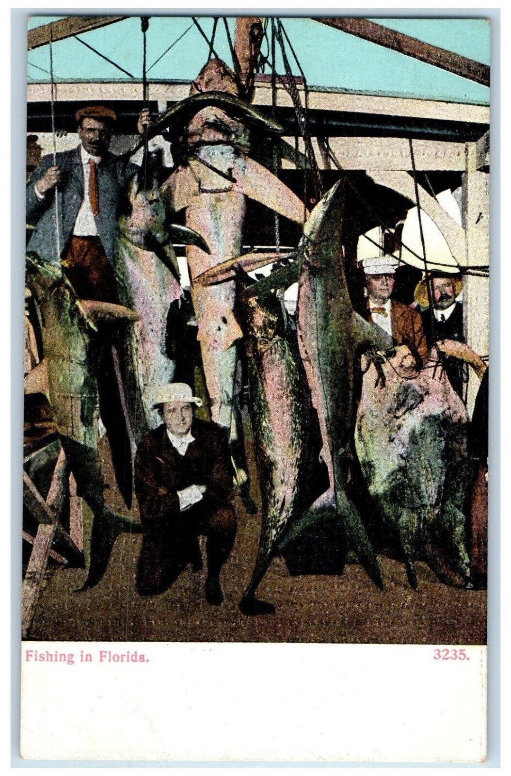 c1910 Big Fishes Caught Fishermen Fishing in Florida Unposted Antique Postcard
