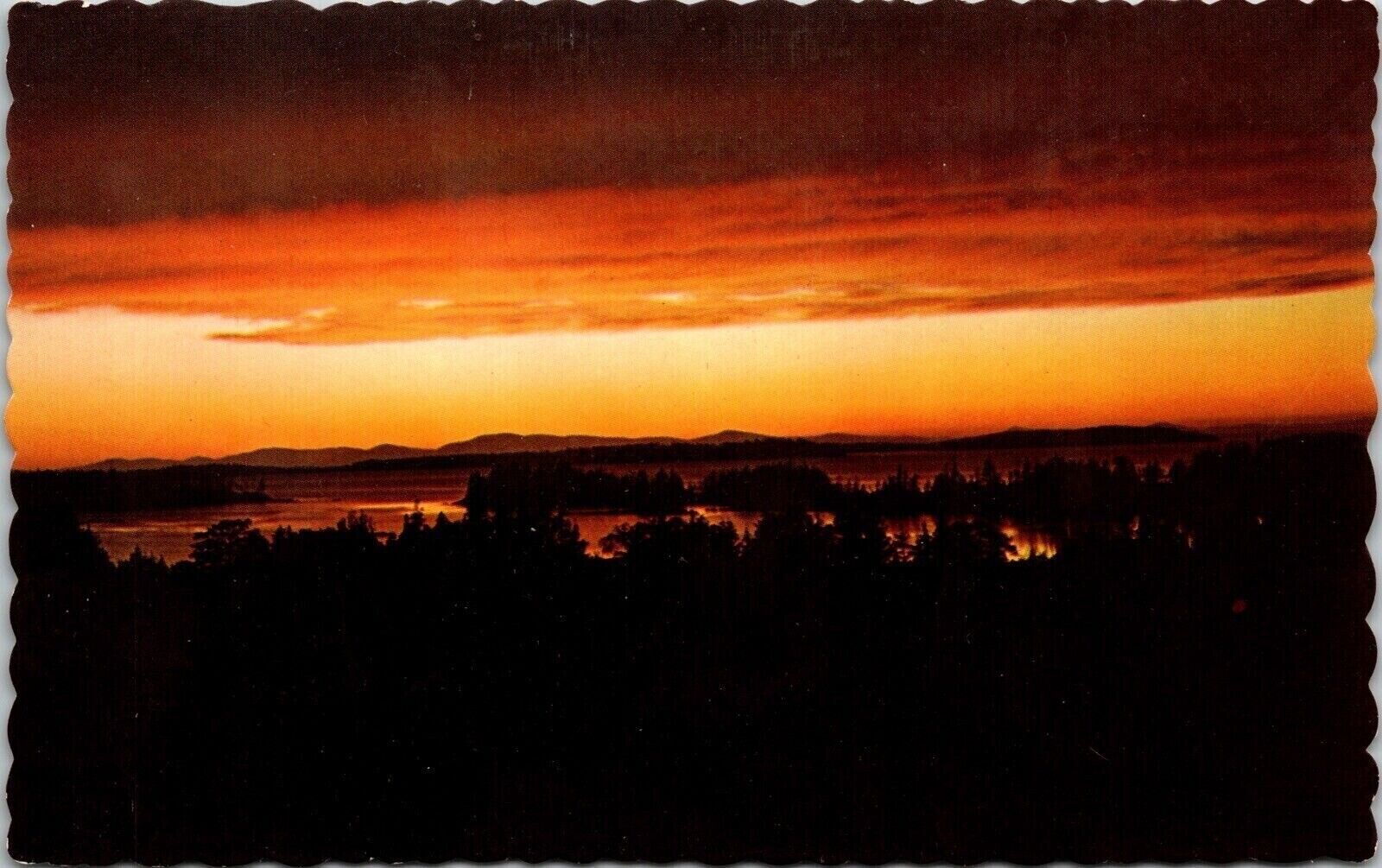 Sunset Maine Coast Ocean Forest Mountains Dexter Press Inc UNP Vintage Postcard