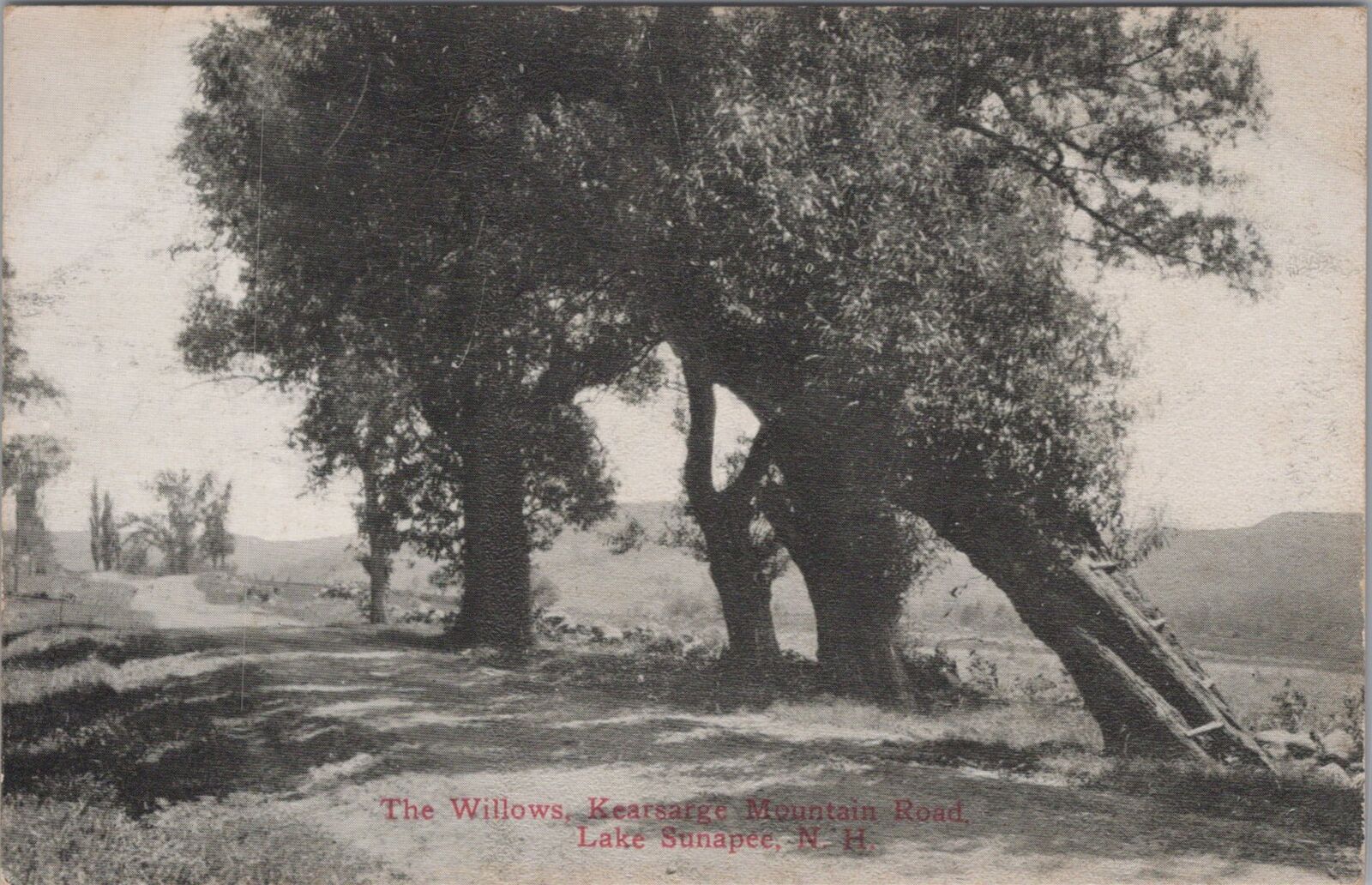 The Willows, Kearsarge Mountain Road, Lake Sunapee, New Hampshire Postcard