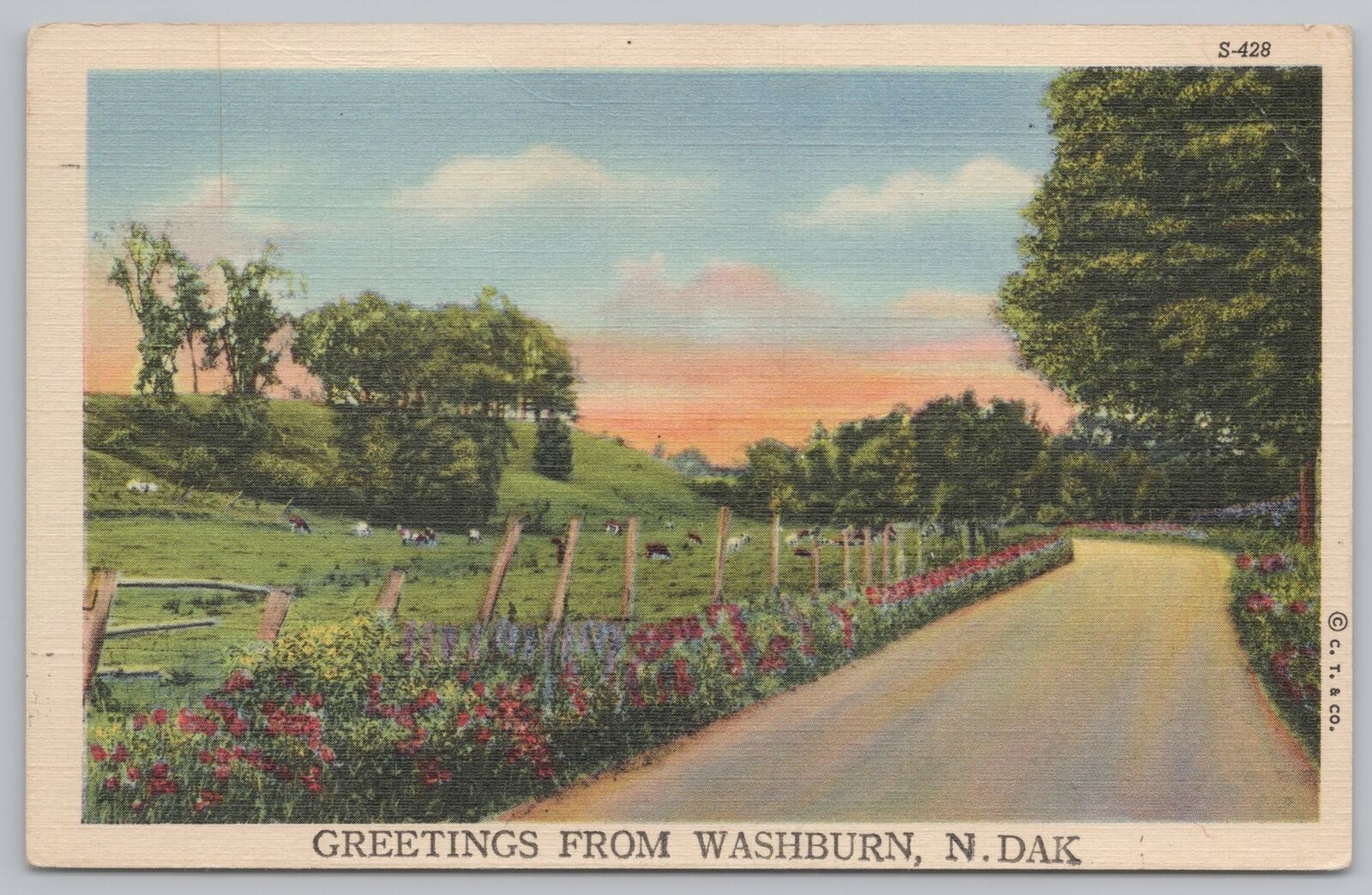 Greetings From Washburn North Dakota~Country Scenes~Flower Lined Road~PM 1948 PC