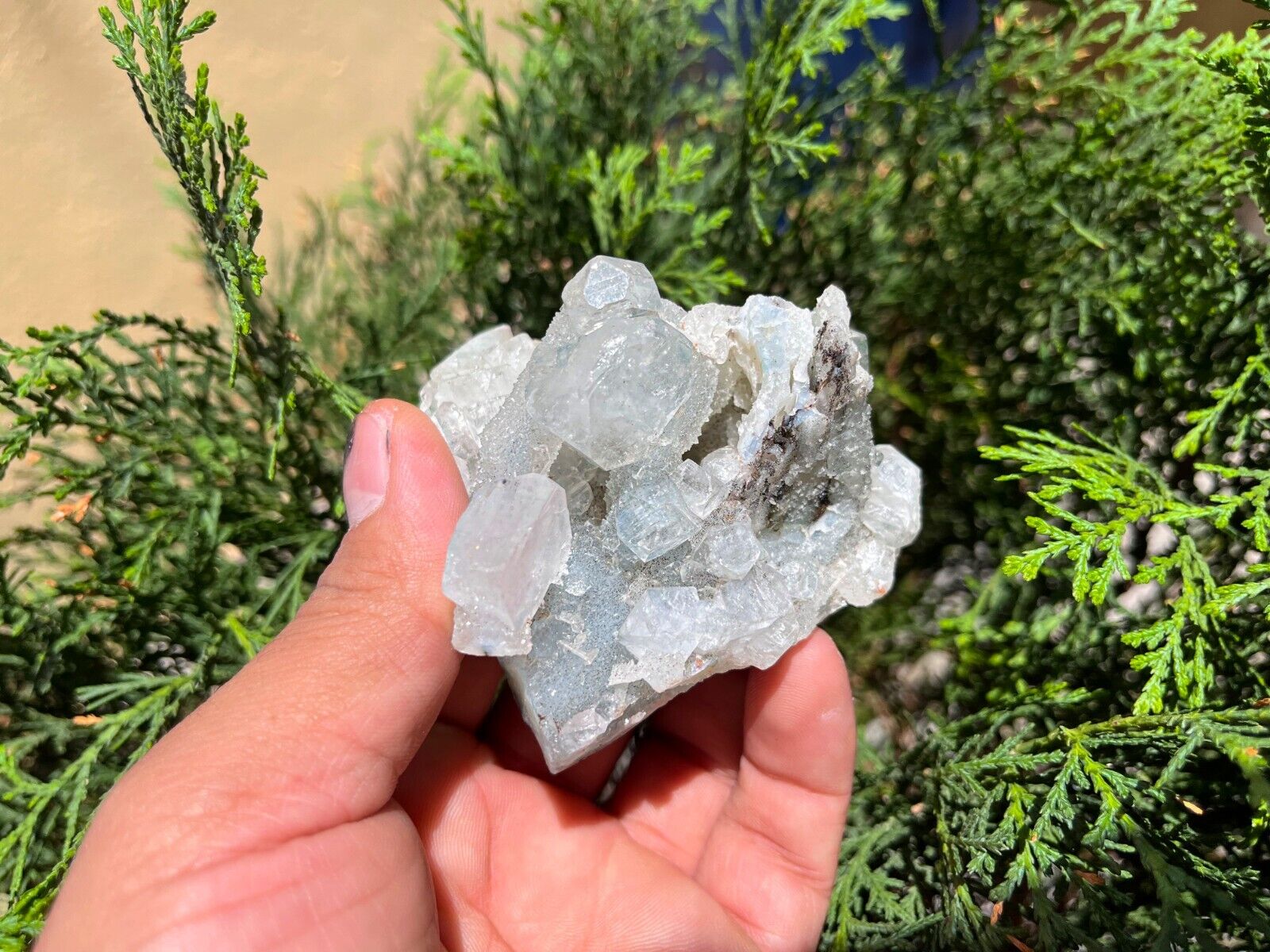 White Apophyllite Natural Healing Specimen Rough Row Indian High Rock Cluster