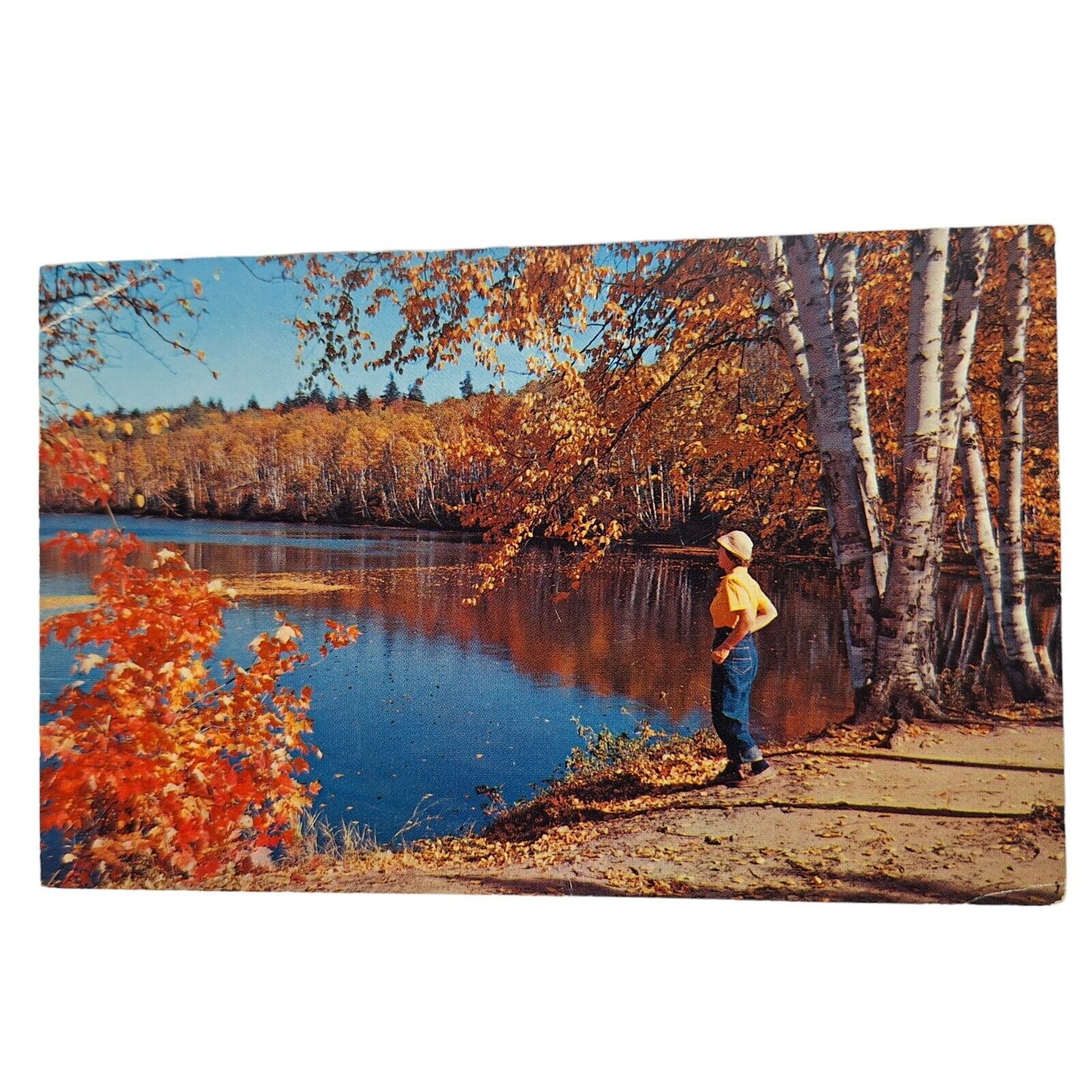 Postcard Birchmuir Lodge Stony Lake The Kawarthas Ontario Canada Chrome Posted