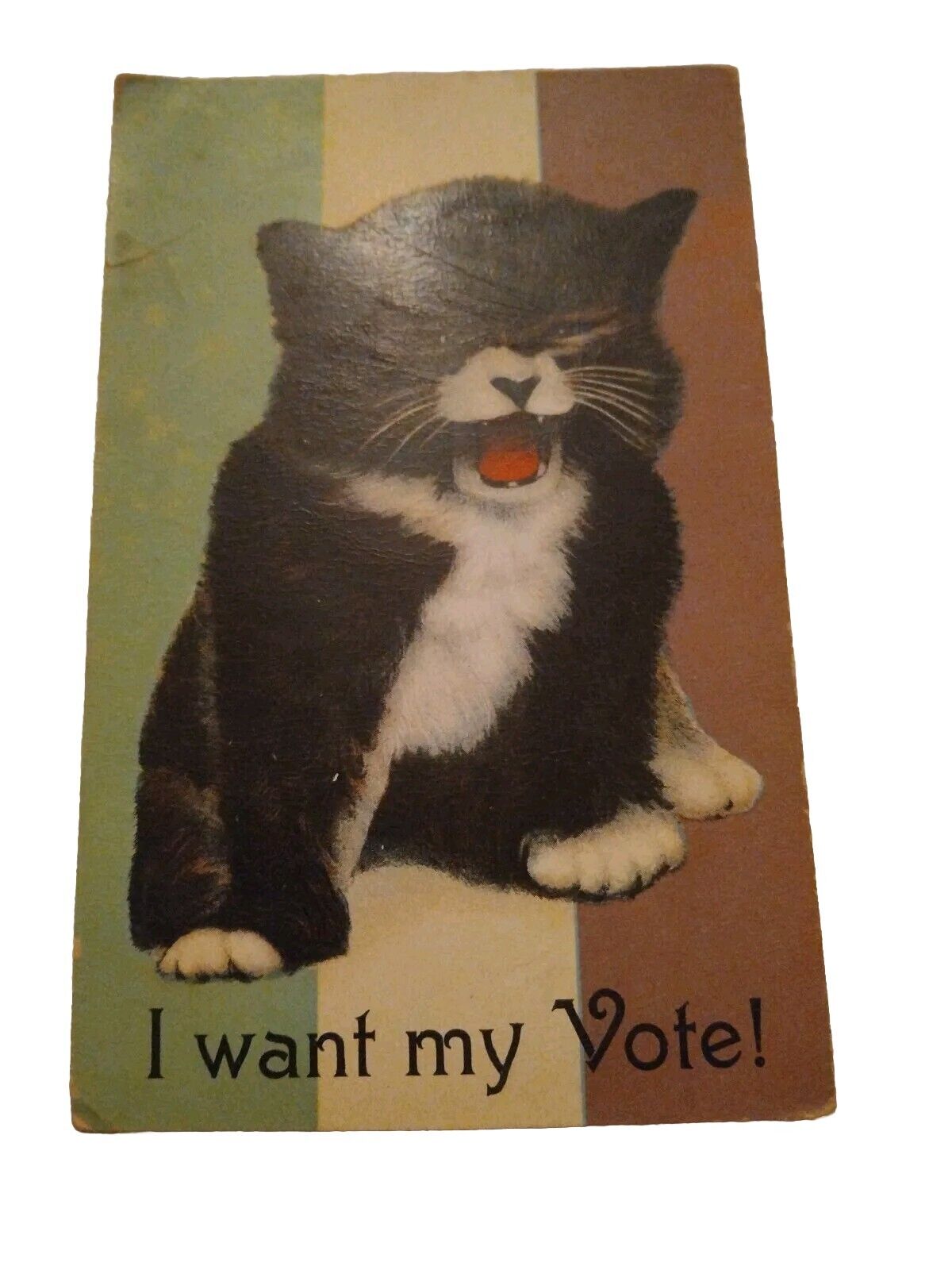 Kitty Cat Women's Suffrage Voting Rights I WANT MY VOTE c1910 Postcard