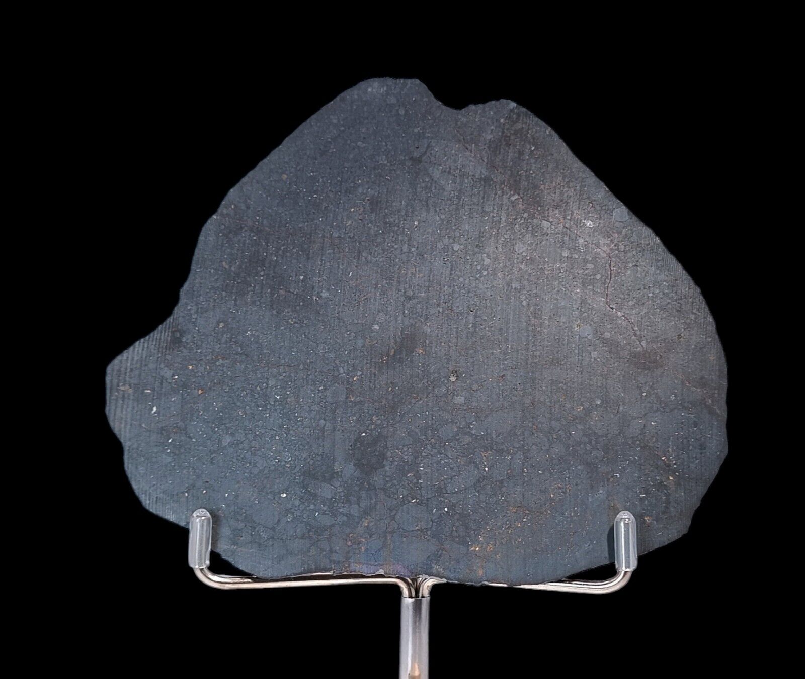 slice of rare meteorite NWA 16180 (L3-5) Multiple lithologies 51 gm