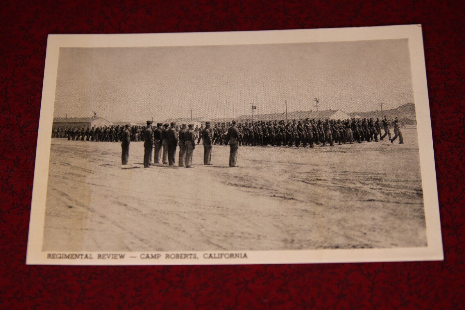 Regimental Review, Camp Roberts California Postcard (Military)