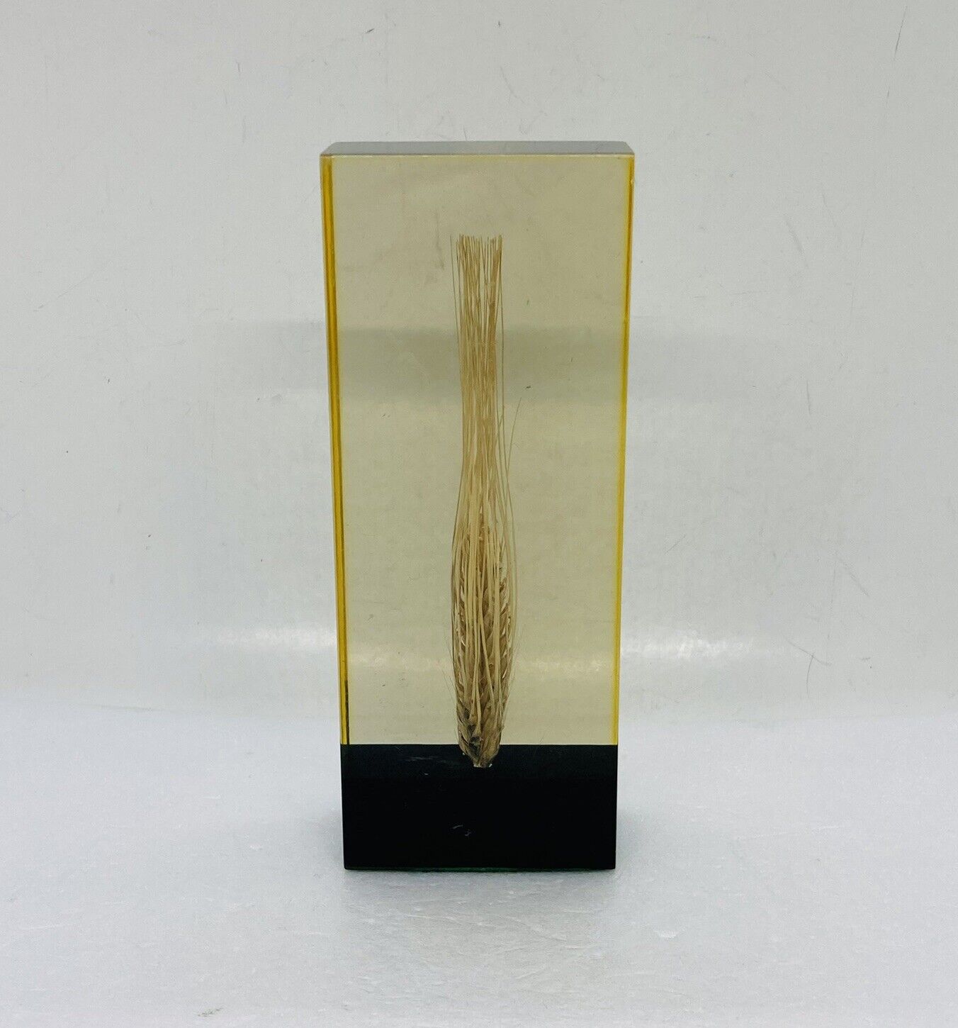 Rare 1980s Lucite Pine Needle Paperweight Resin 6” Tabletop Art Decor 17