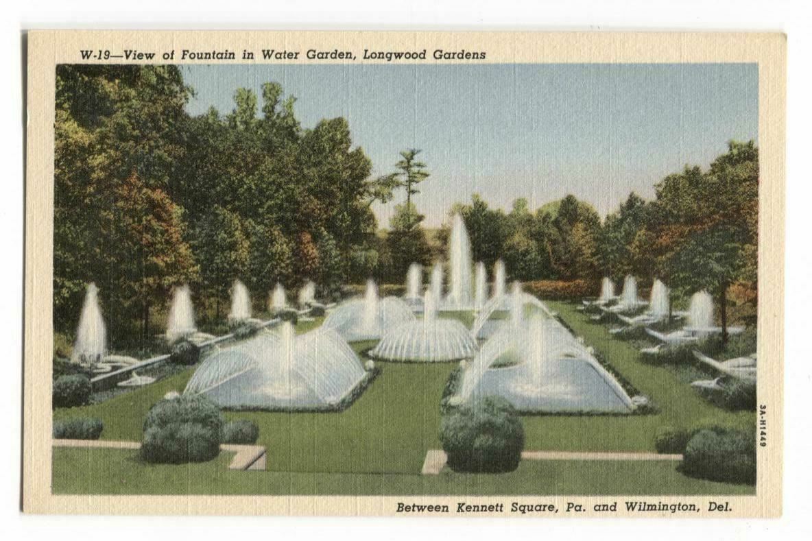 Postcard View Fountain Water Garden Longwood Gardens Kennett Square PA 