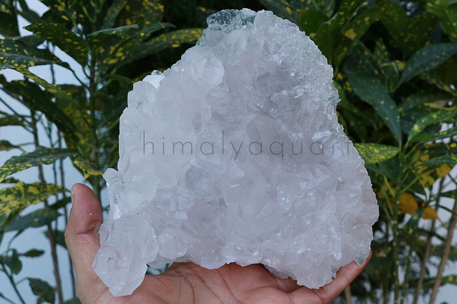 100% Natural Green Chlorite Quartz 2.140kg Himalayan Crystal Quartz Mineral