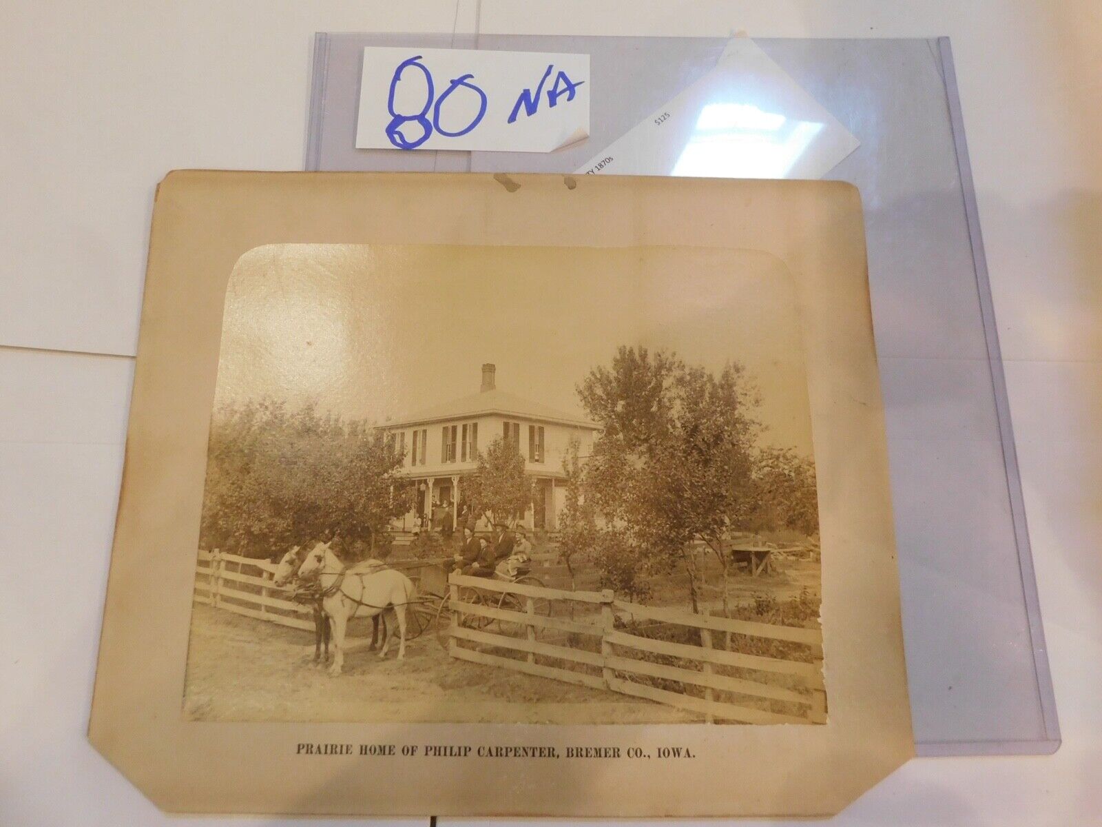 152 Iowa Prairie Family P Carpenter Photo Bremer Cty 1870 Horses Buggy