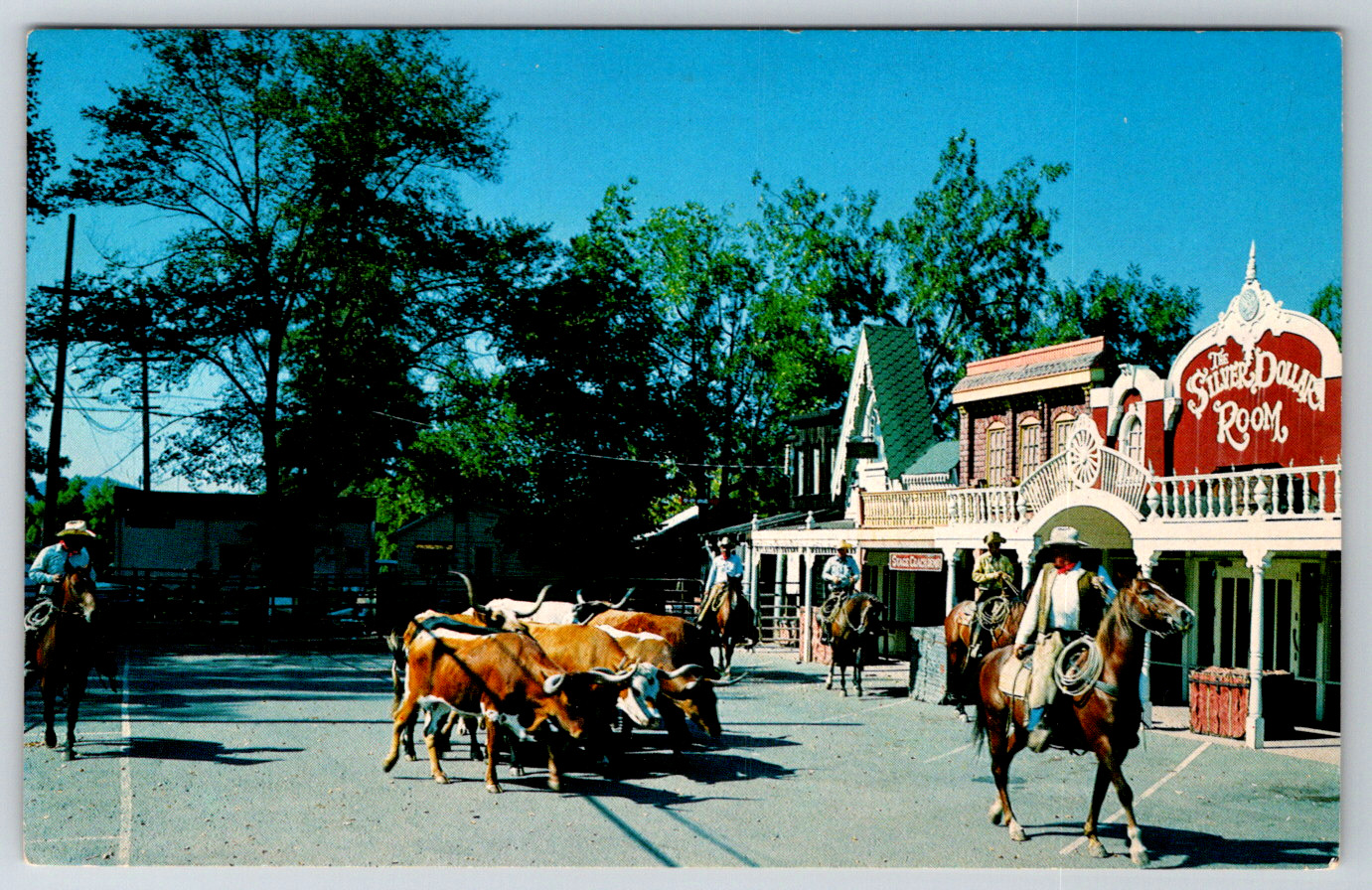 c1960s Specimen Texas Longhorn Steers Hap Magee Danville CA Vintage Postcard