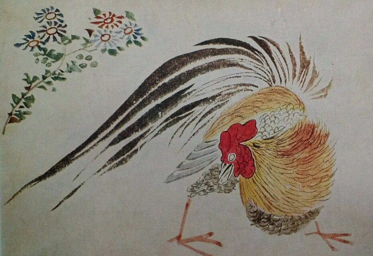 Chicken Cock UK Antique Postcard Early 1900s Rare Japanese Print 