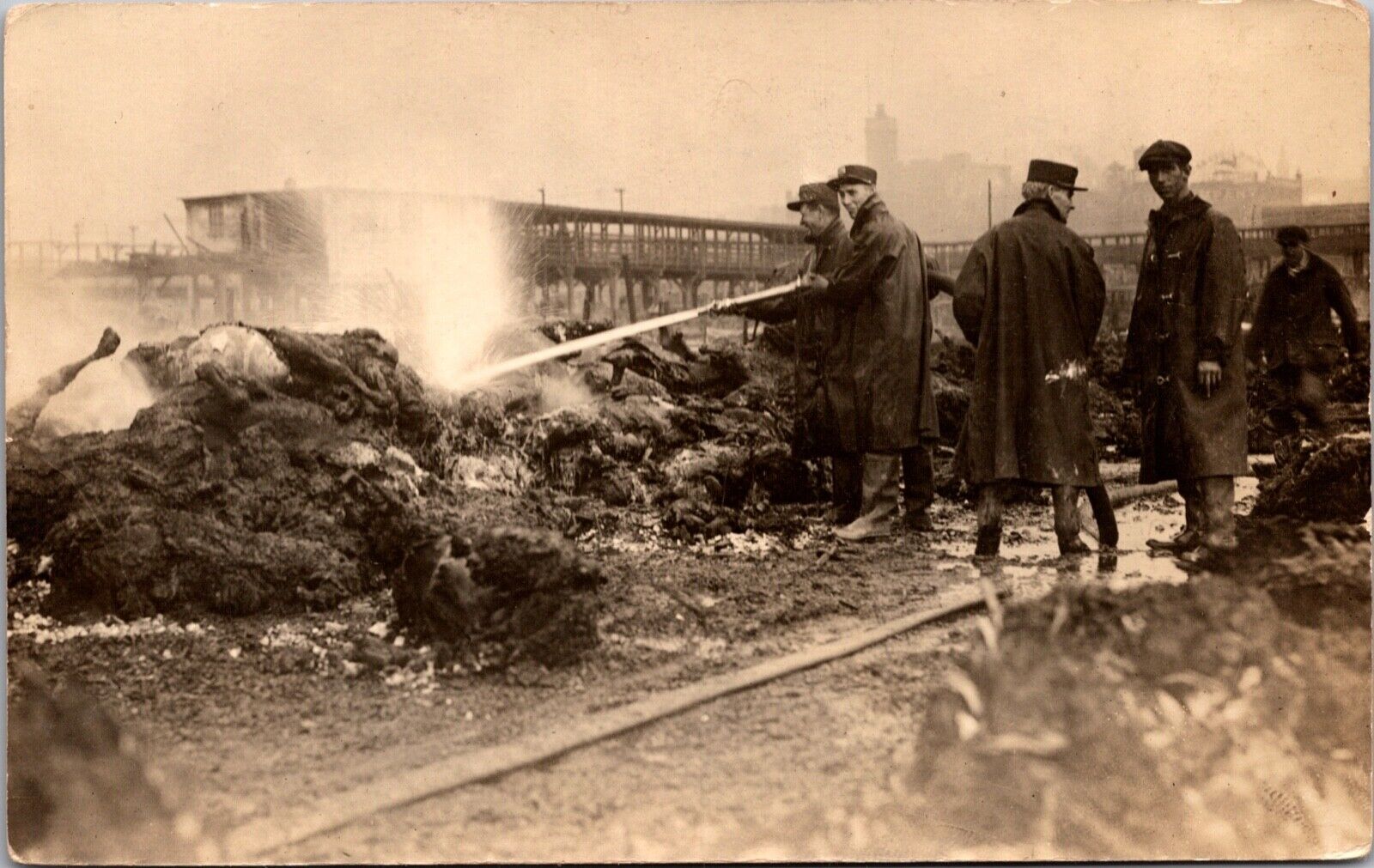 Real Photo Postcard Cattle Yard Fire in Indiana