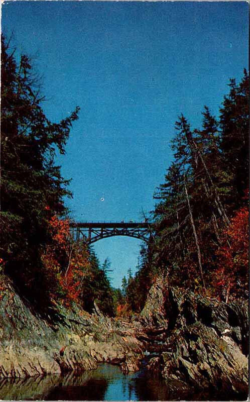 Postcard BRIDGE SCENE Quechee Vermont VT 6/28 AM3858
