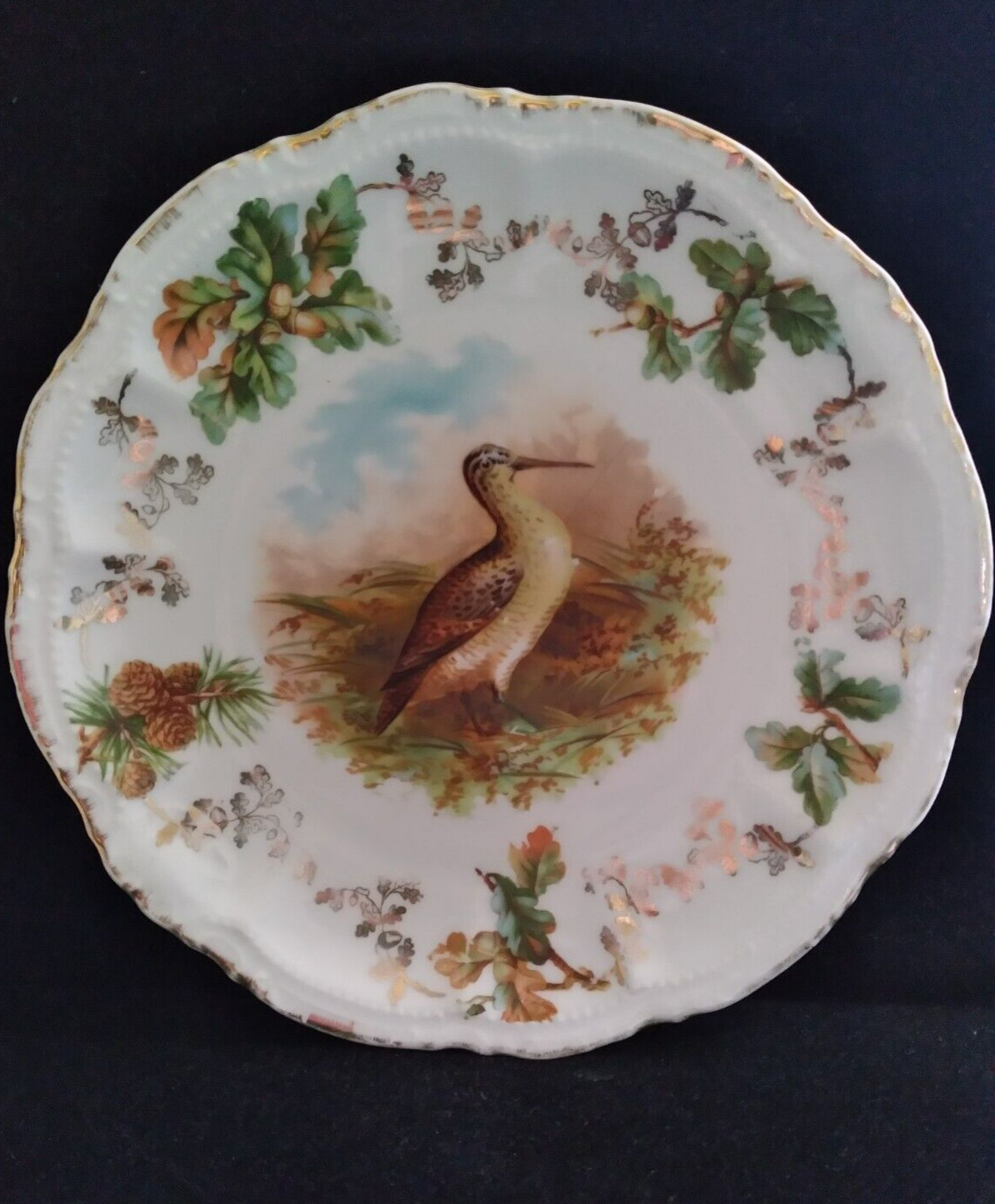 Antique PM Moschendorf Bavaria Game Bird Sandpiper Plate 9\