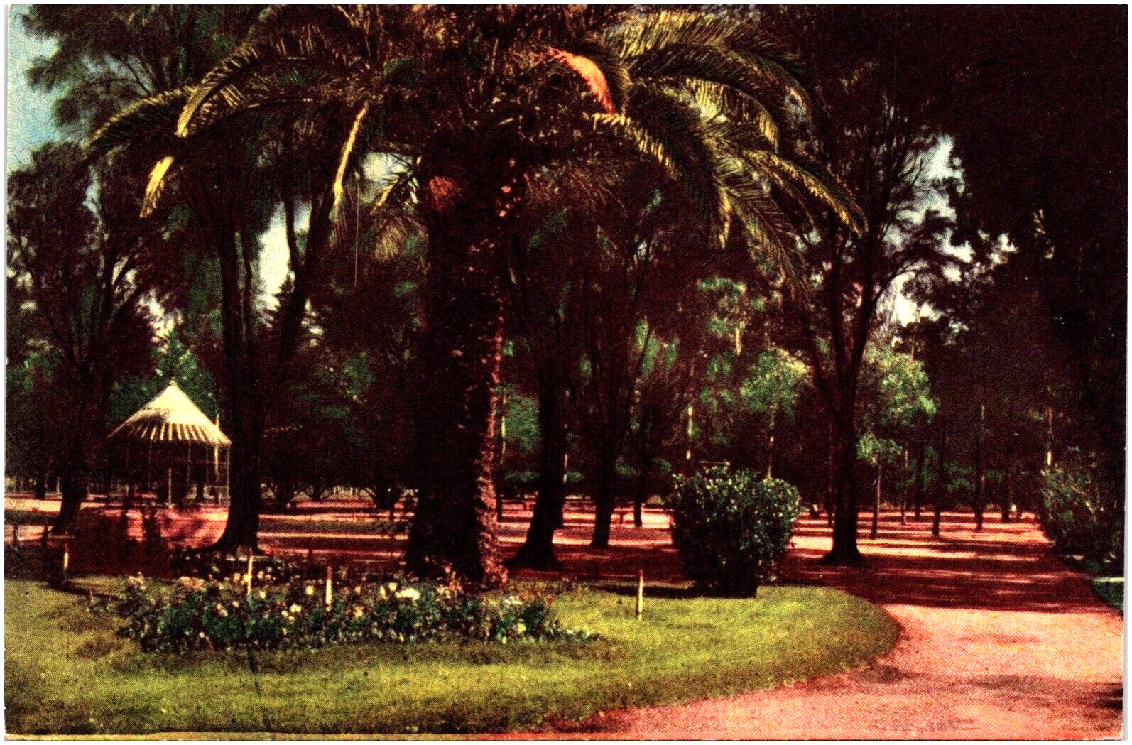 Mayo Park in Bahia Blanca Buenos Aires Argentina 1910s Postcard Unused