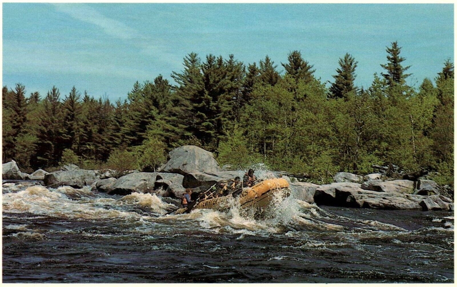 Penobscot River riding Rapids  Vintage Postcard