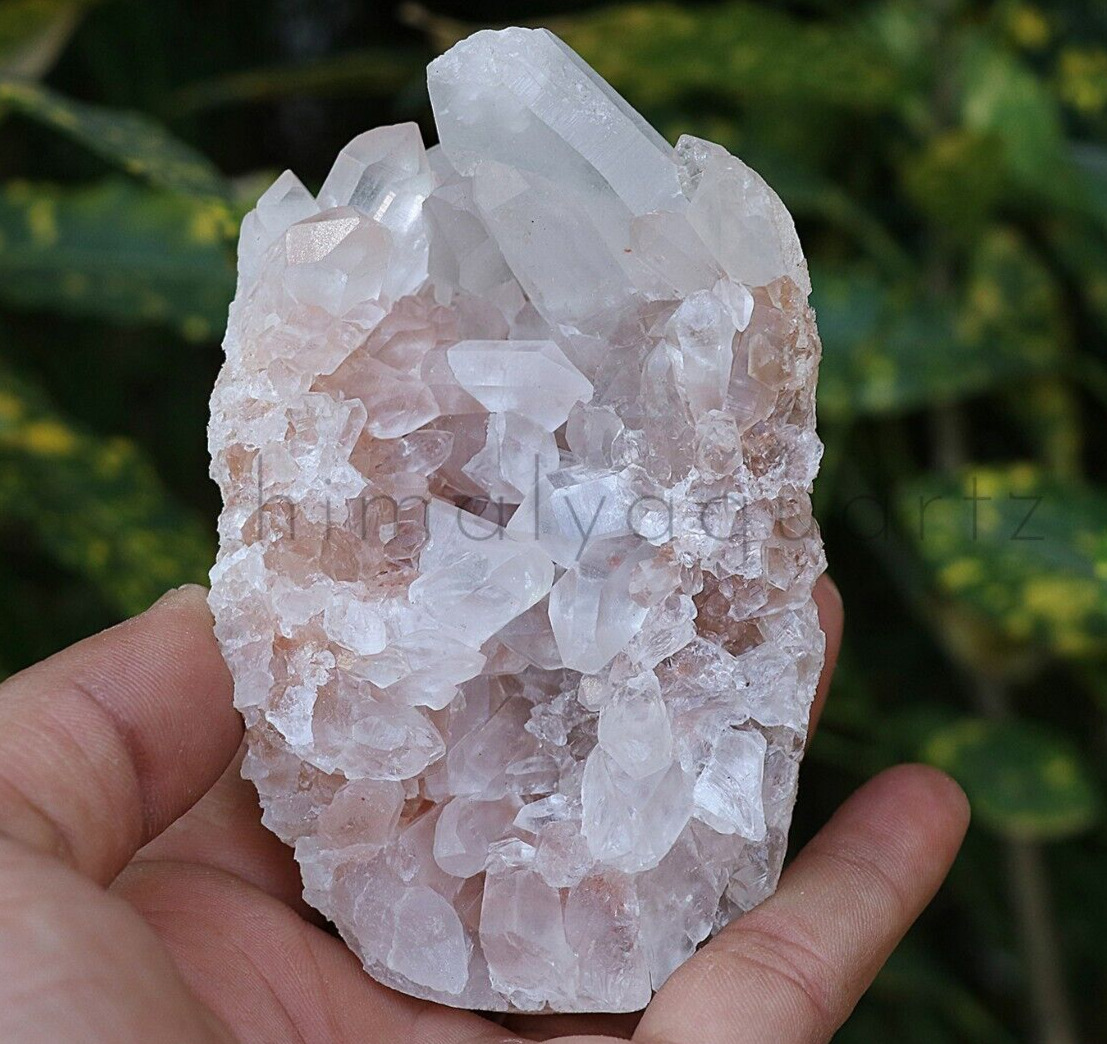 High Grade Himalayan Pink + White Quartz Rough Healing Crystal 325 gm Minerals