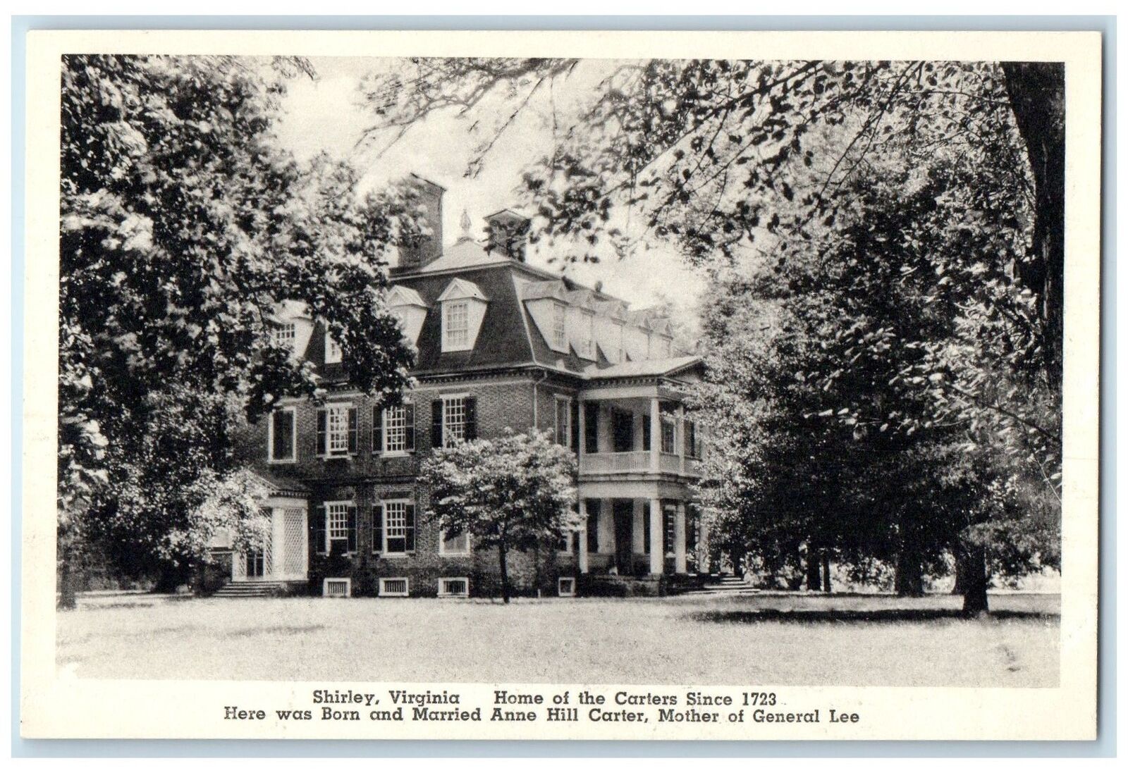 c1940s Home Of The Carters Since 1723 Shirley Virginia VA Unposted Tree Postcard