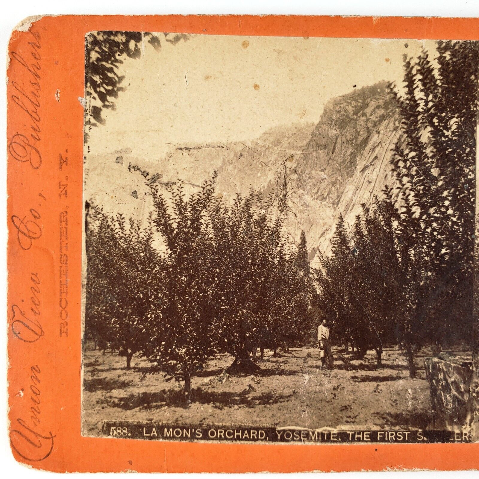 Lamon's Orchard Yosemite Valley Stereoview c1870 First Pioneer Apple Trees A2548