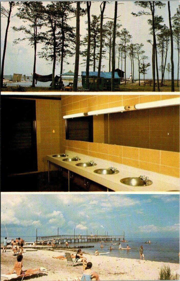 Vintage Postcard Sandpipers Trace Camping resort Roanoke Island NC