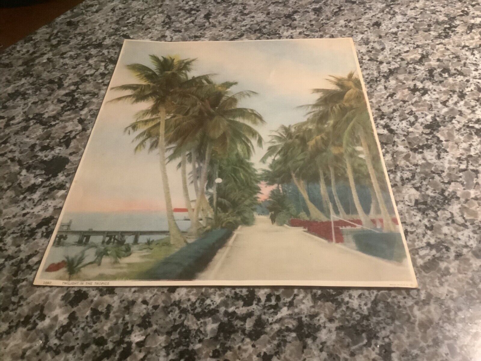 GORGEOUS 1920s Florida lithograph…TWILIGHT IN THE TROPICS…wonderful palm trees