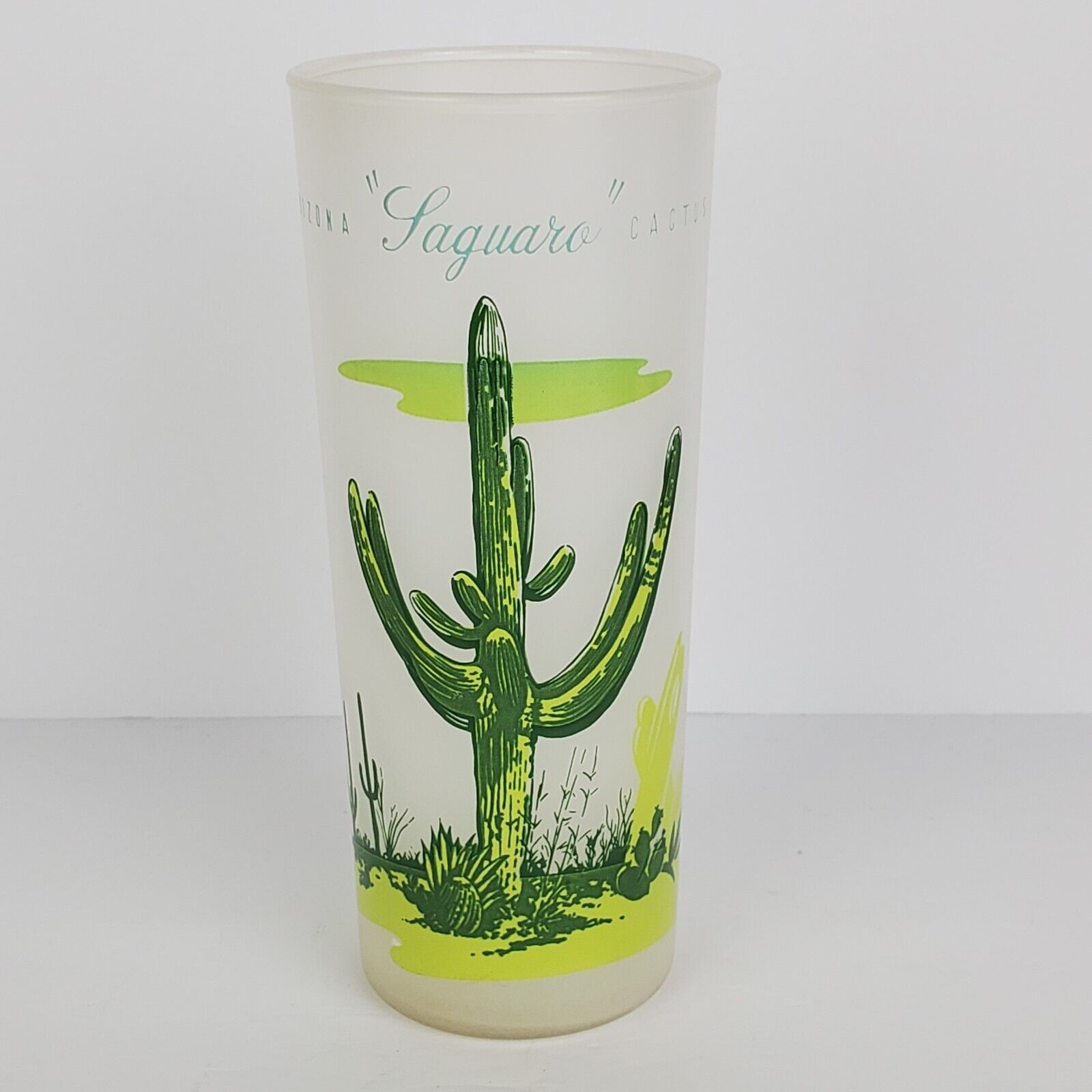 Vintage Blakely Oil & Gas Arizona Laguaro Cactus Tall Frosted Tom Collins Glass