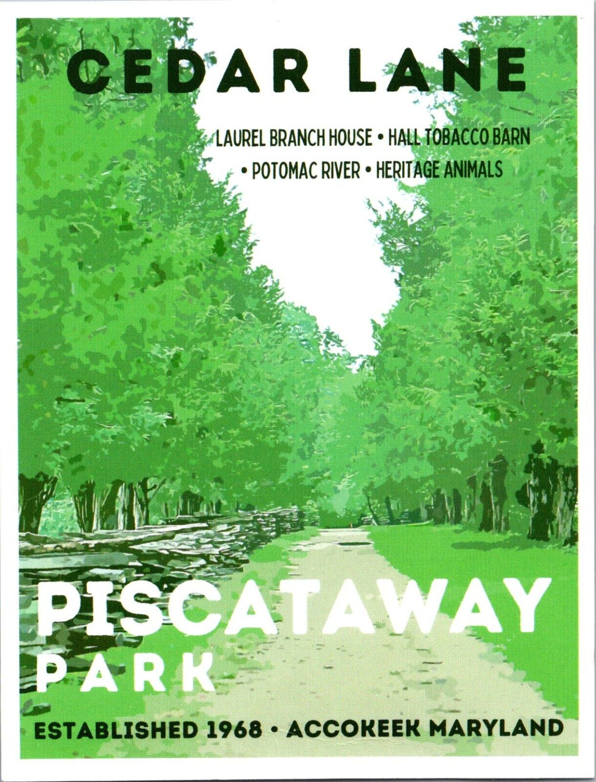 Piscataway Park Cedar Lane Accokeek Maryland postcard