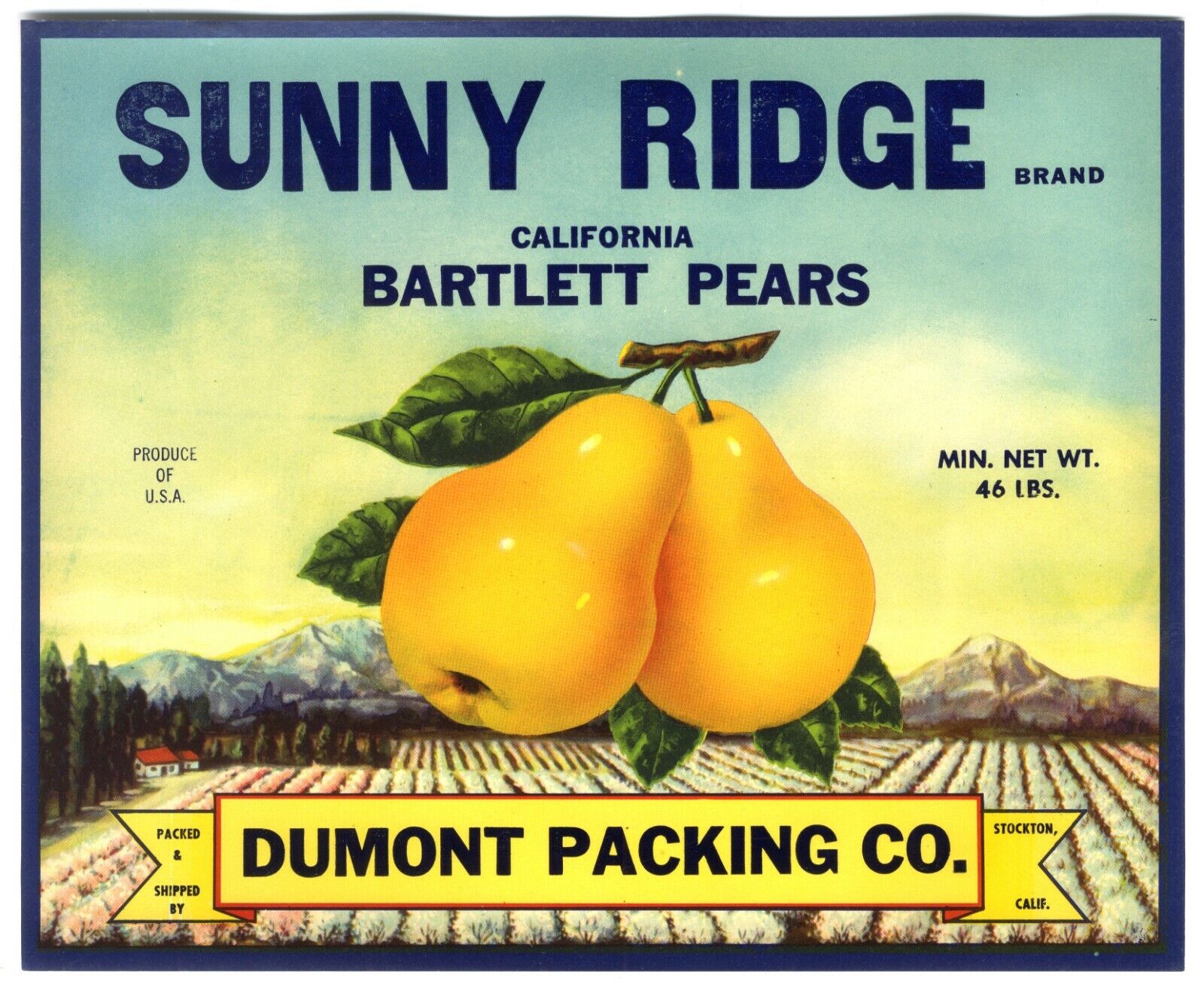 SUNNY RIDGE~ORIGINAL 1930s STOCKTON CALIFORNIA AUTHENTIC PEAR FRUIT CRATE LABEL