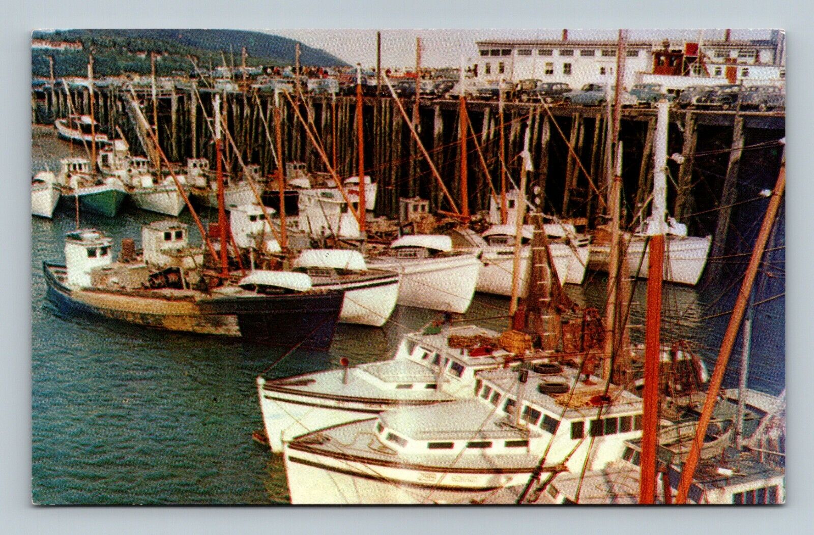 Scallop Fleet Digby N.S. Postcard ep-126