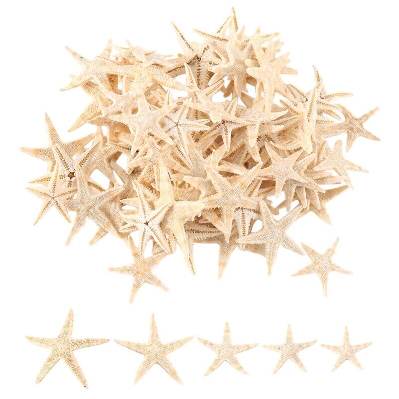 3X(Small Starfish Star Sea  Beach Craft 0.4 inch-1.2 inch 90 Pcs I9P3)2602
