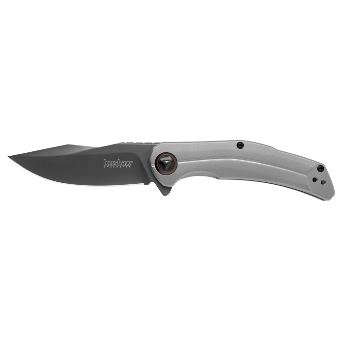 Kershaw Knives Believer Frame Lock 2070 8Cr13MoV Stainless Steel