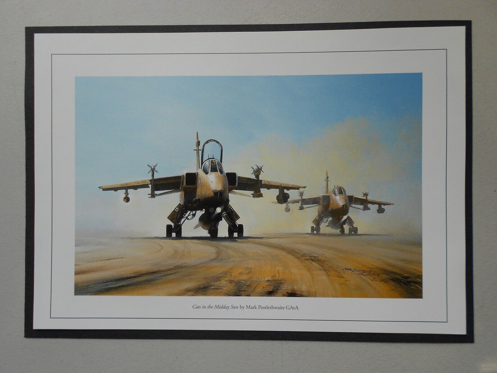 MILITARY AVIATION PRINT-  CATS IN THE MIDDAY SUN BY MARK POSTLETHWAITE