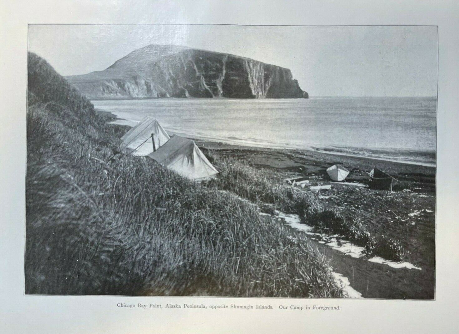 1903 Explorer Naturalist Andrew J. Stone in Alaska Arctic Illustrated