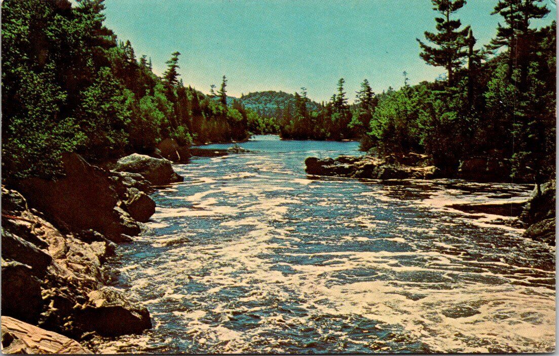 1965 View Montreal River Near Sault Ste. Marie Ontario Canada Vintage Postcard