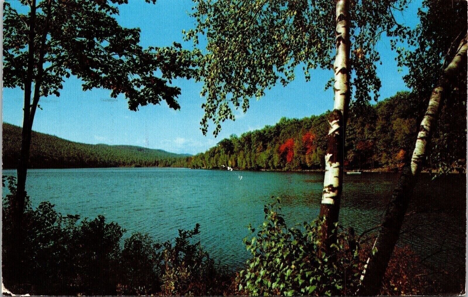 First Strokes Autumn Lake Shore Postcard PM Pequot Lakes MN Cancel WOB Note VTG