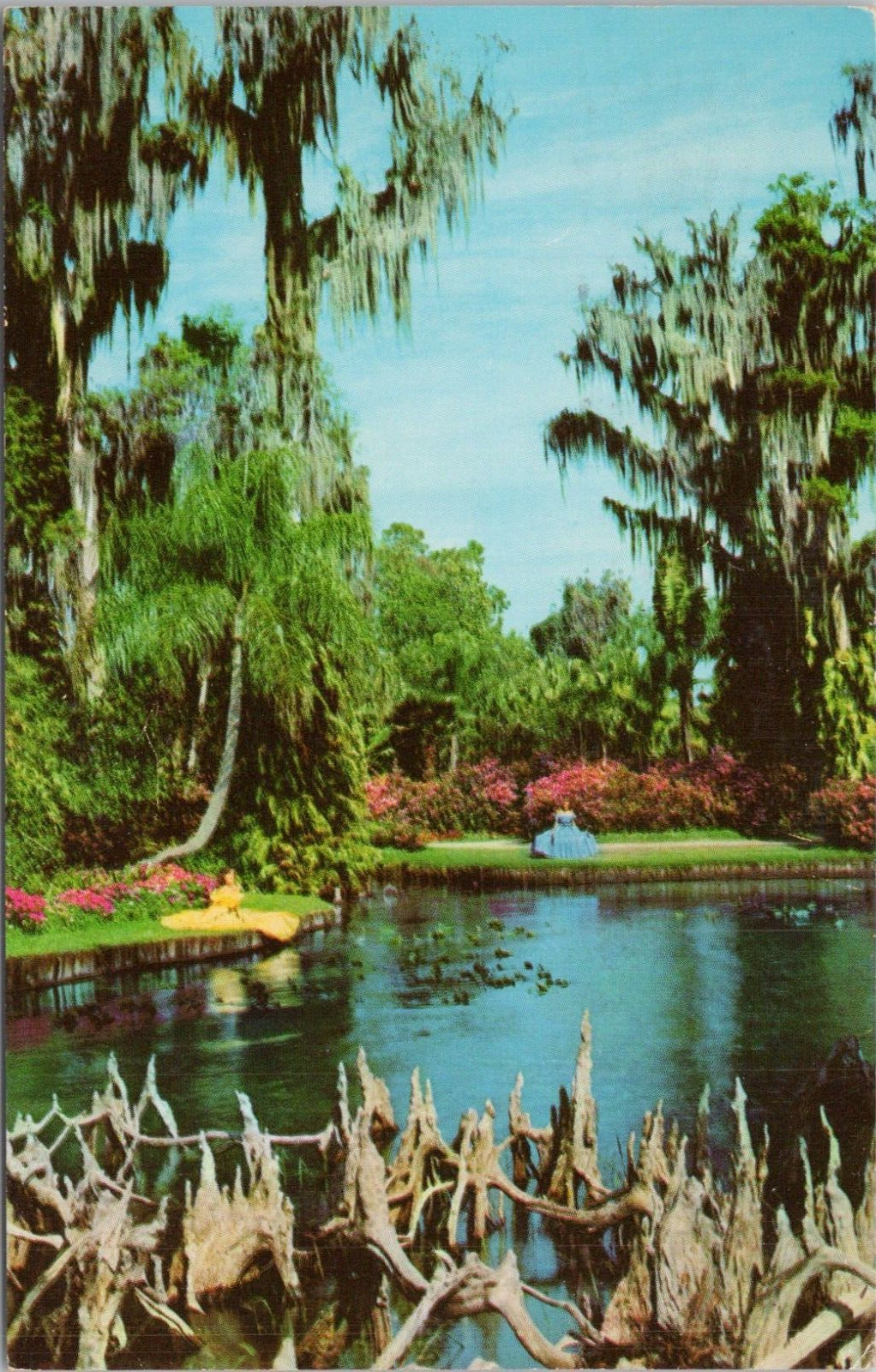Photo PC ** Dunnellon Florida Cypress Gardens Tropical Flowers 1961