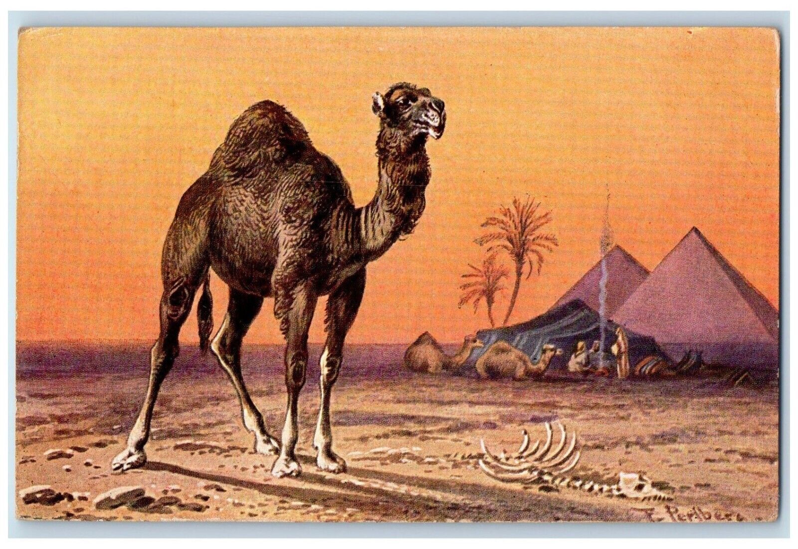 c1910's Camel Arabia Egypt Art Skeleton Camp Unposted Antique Postcard
