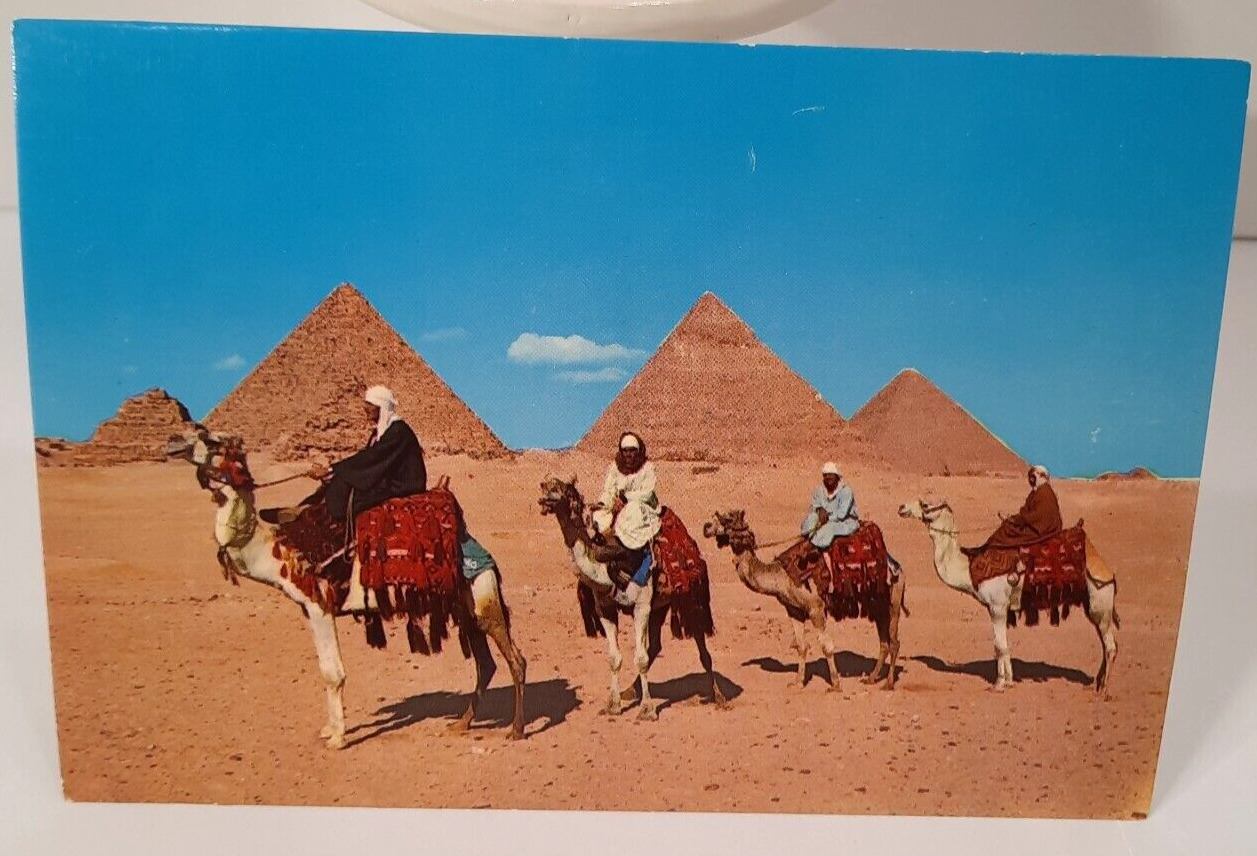 Egypt Cairo Camel Caravan near Giza Pyramids Postcard Vintage Post Card